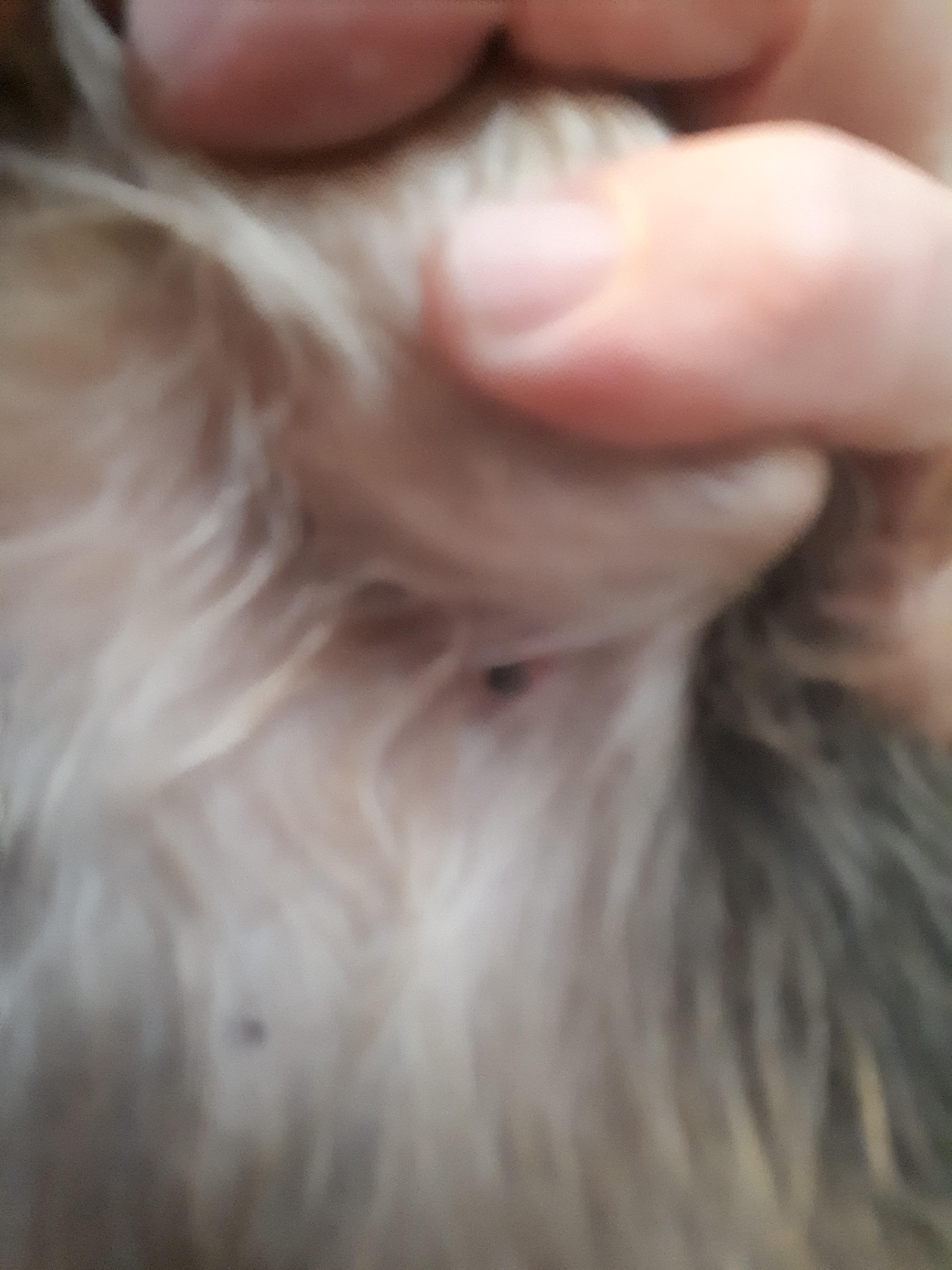 Question details sensitive content