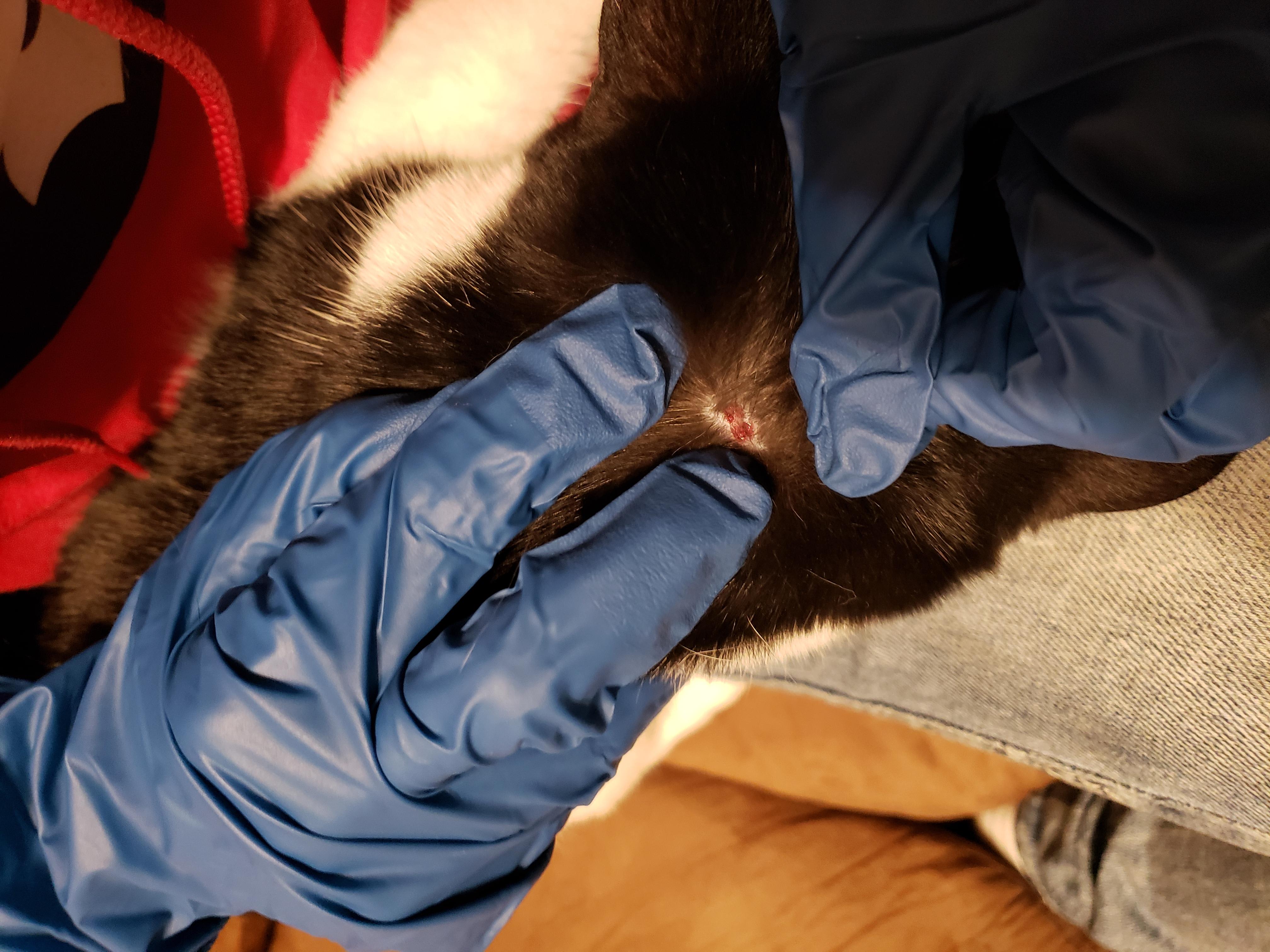 Question details sensitive content