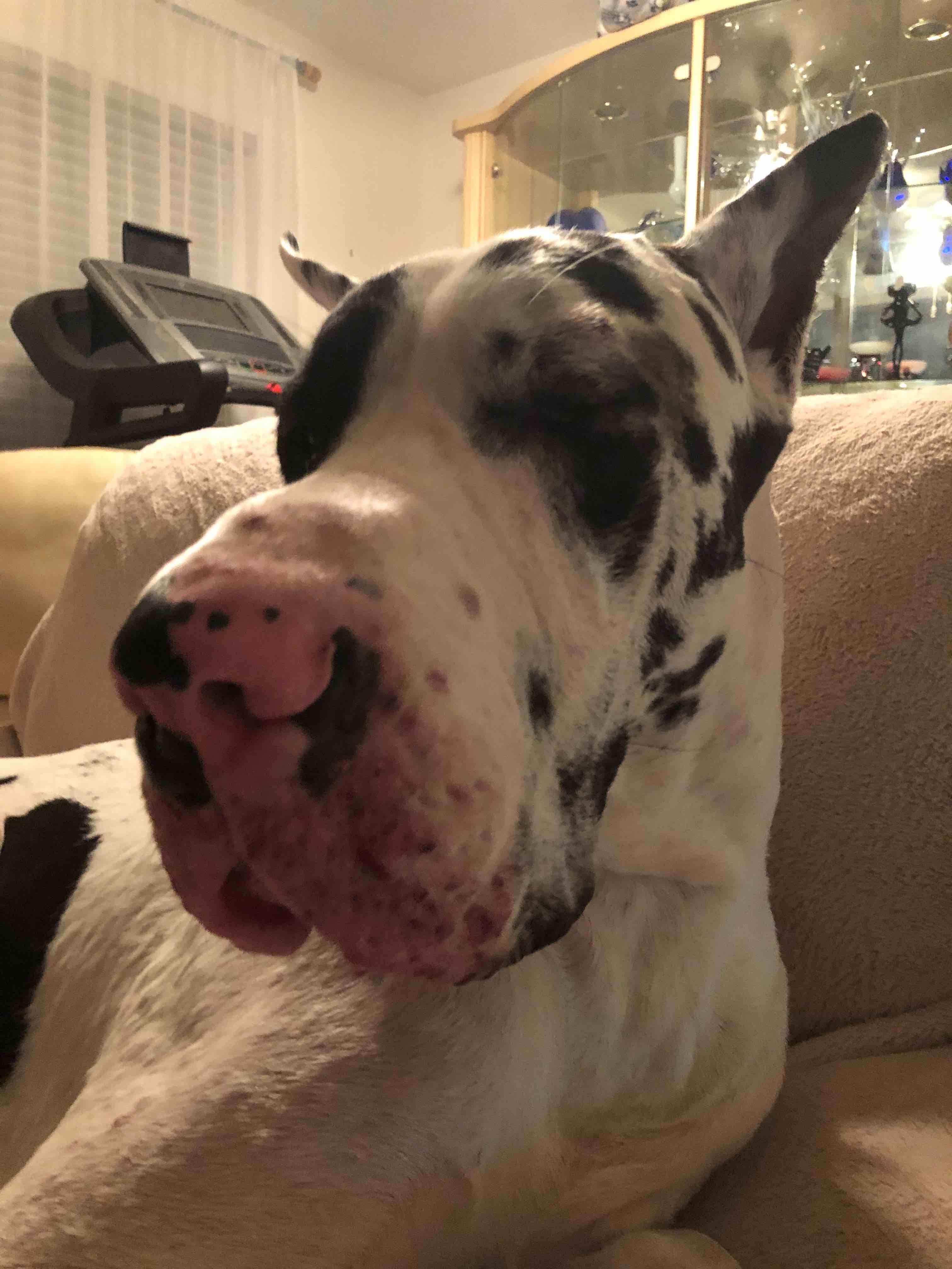 Question details sensitive content