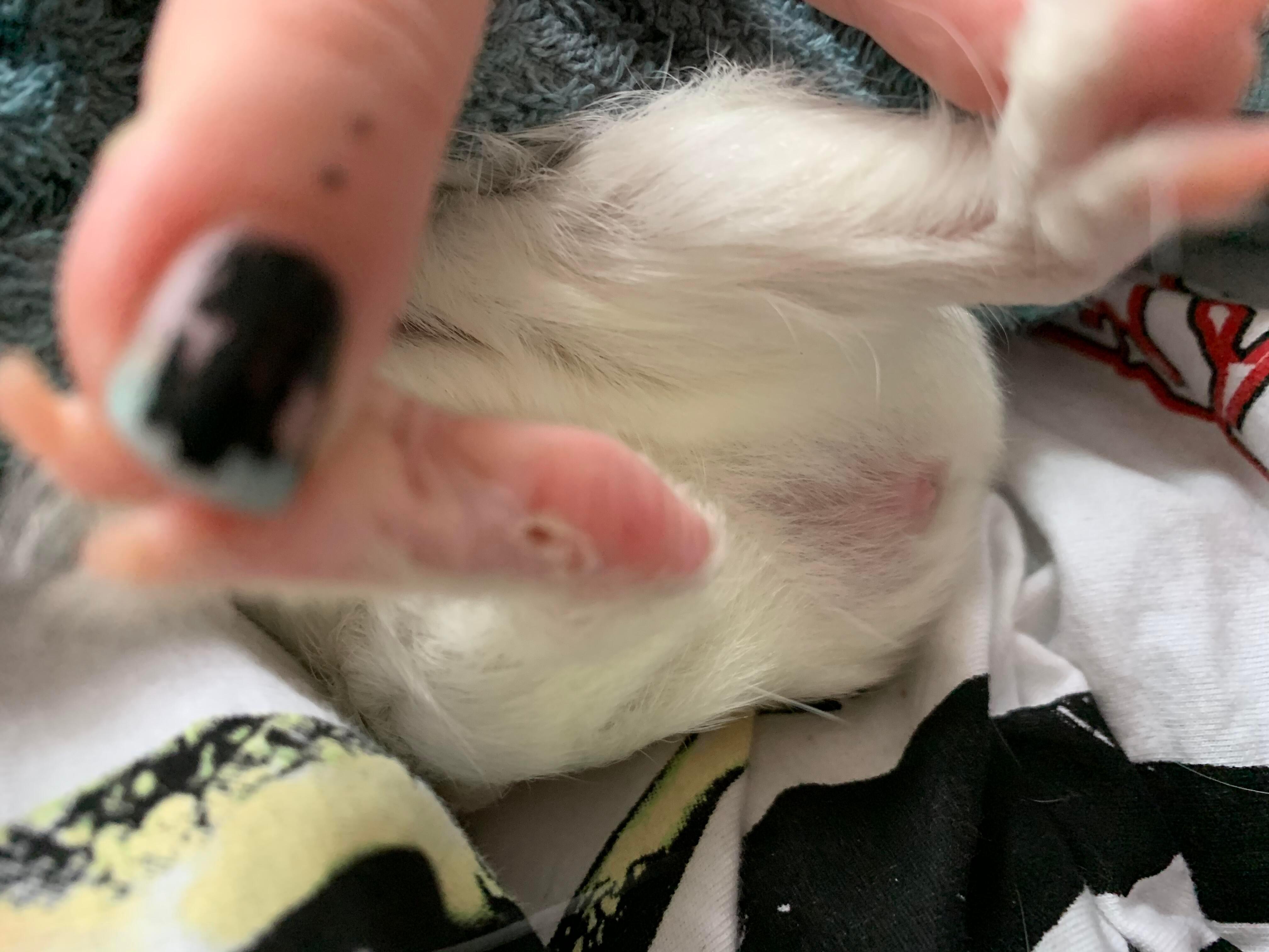 Question details sensitive content