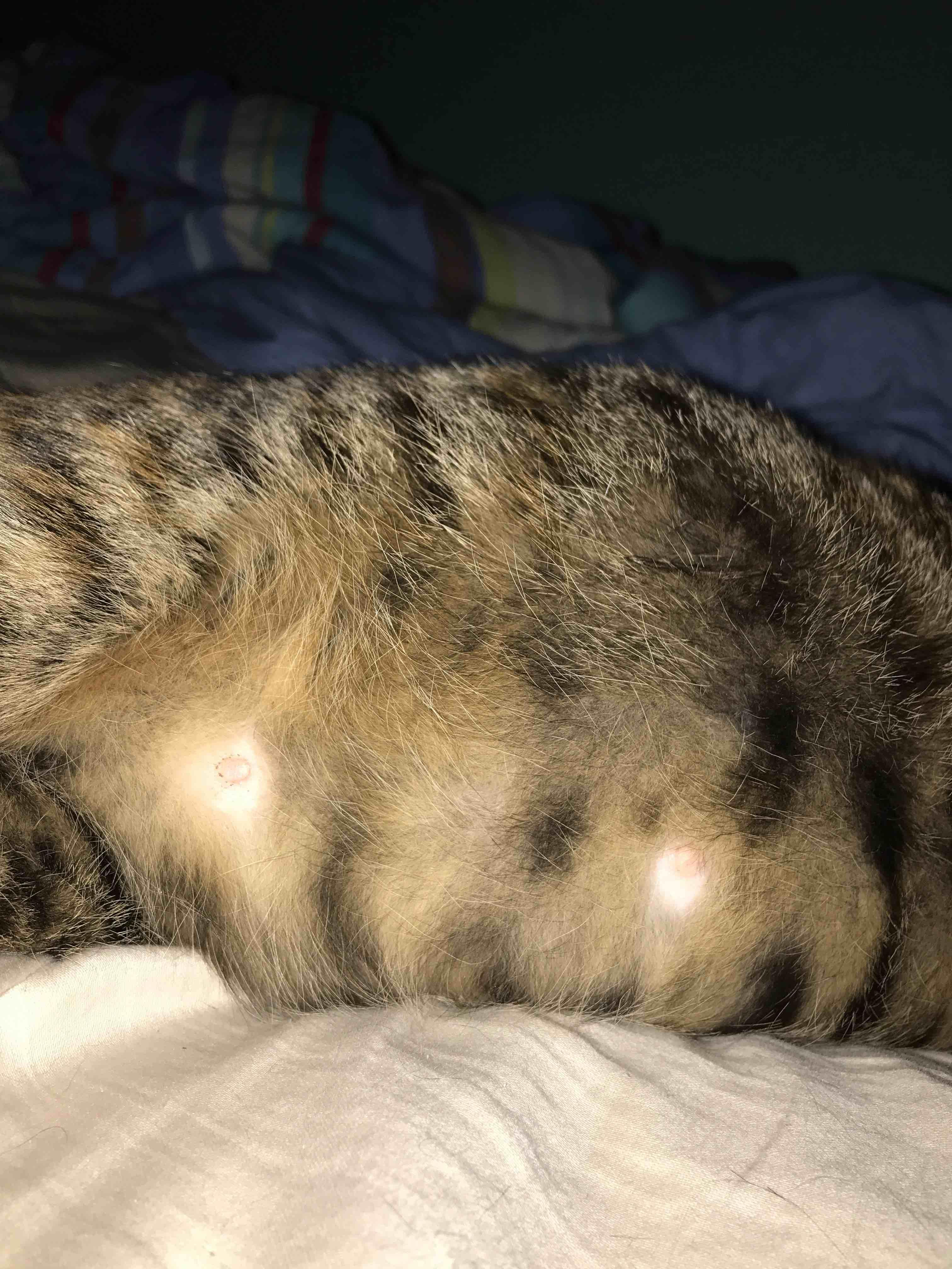 Question details sensitive content