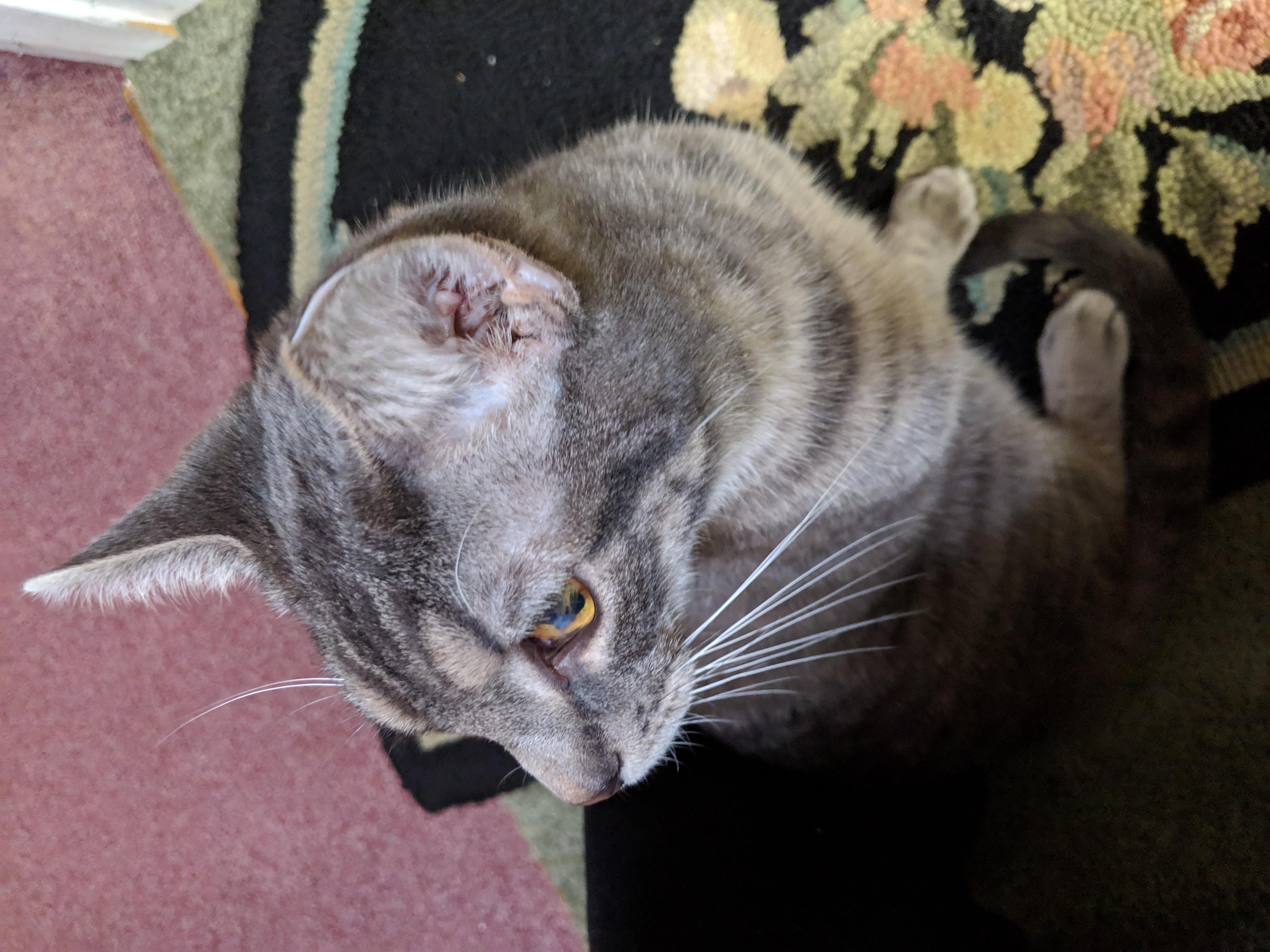 Question details sensitive content