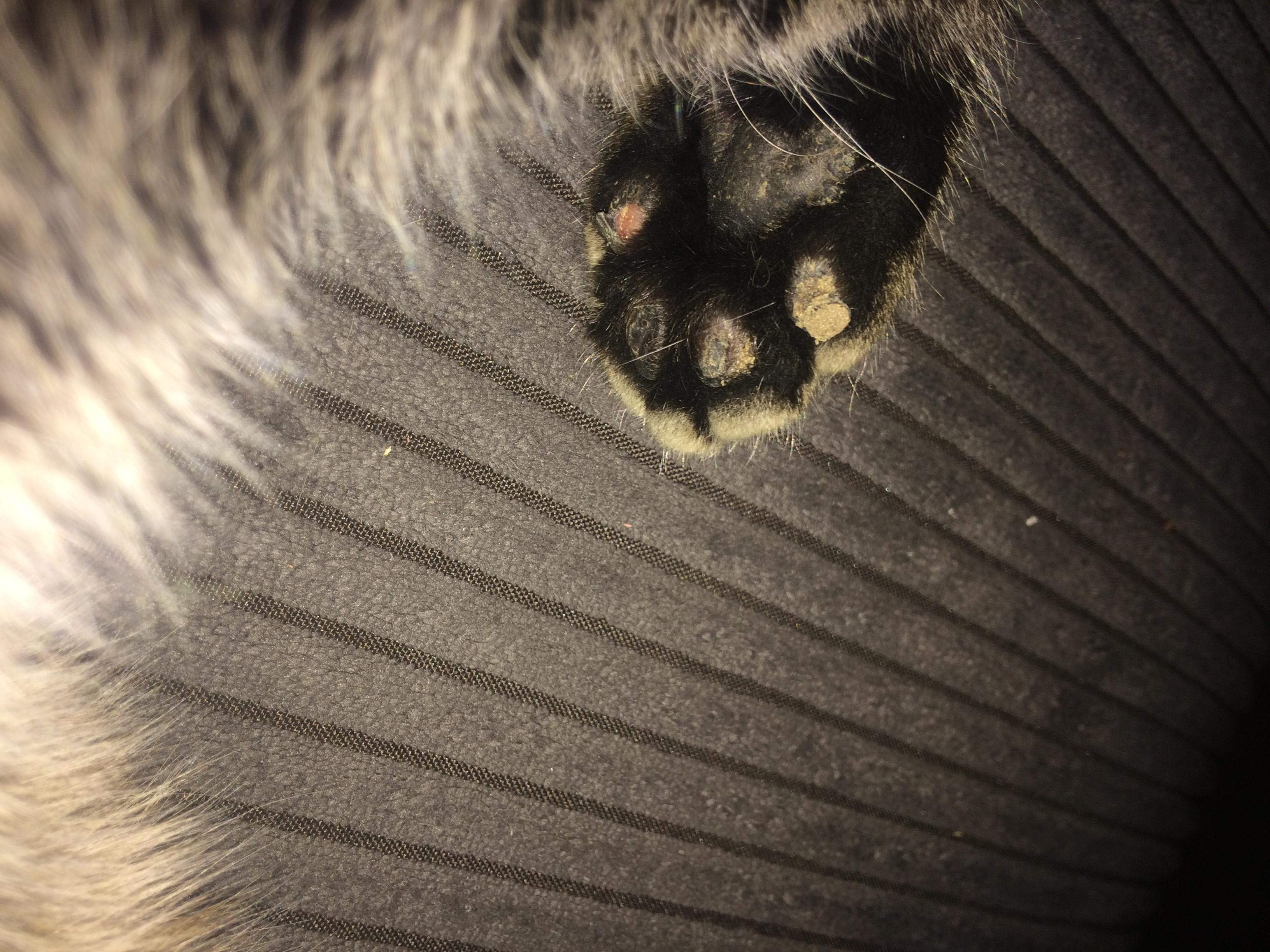 Question details sensitive content