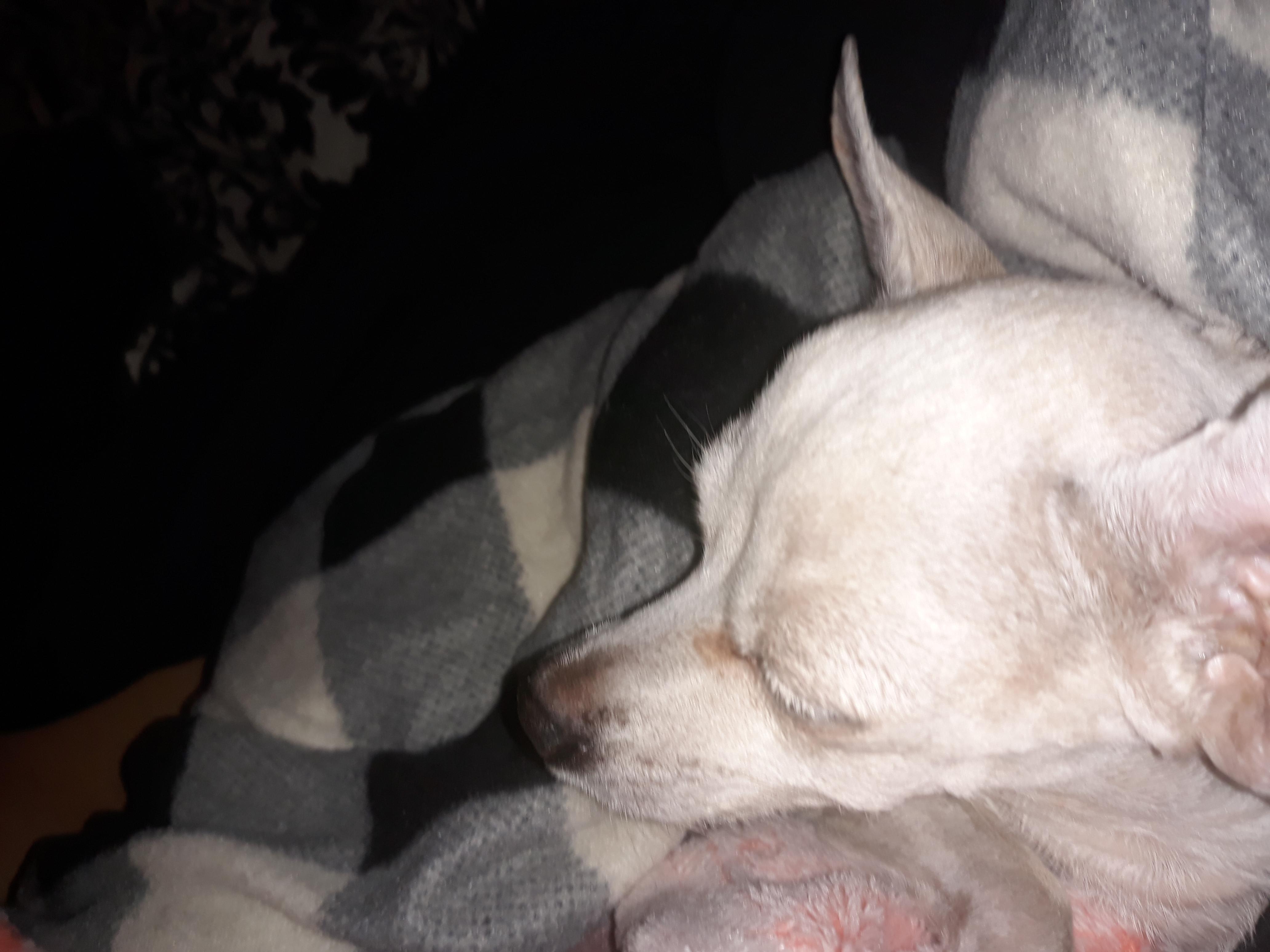 Question details sensitive content