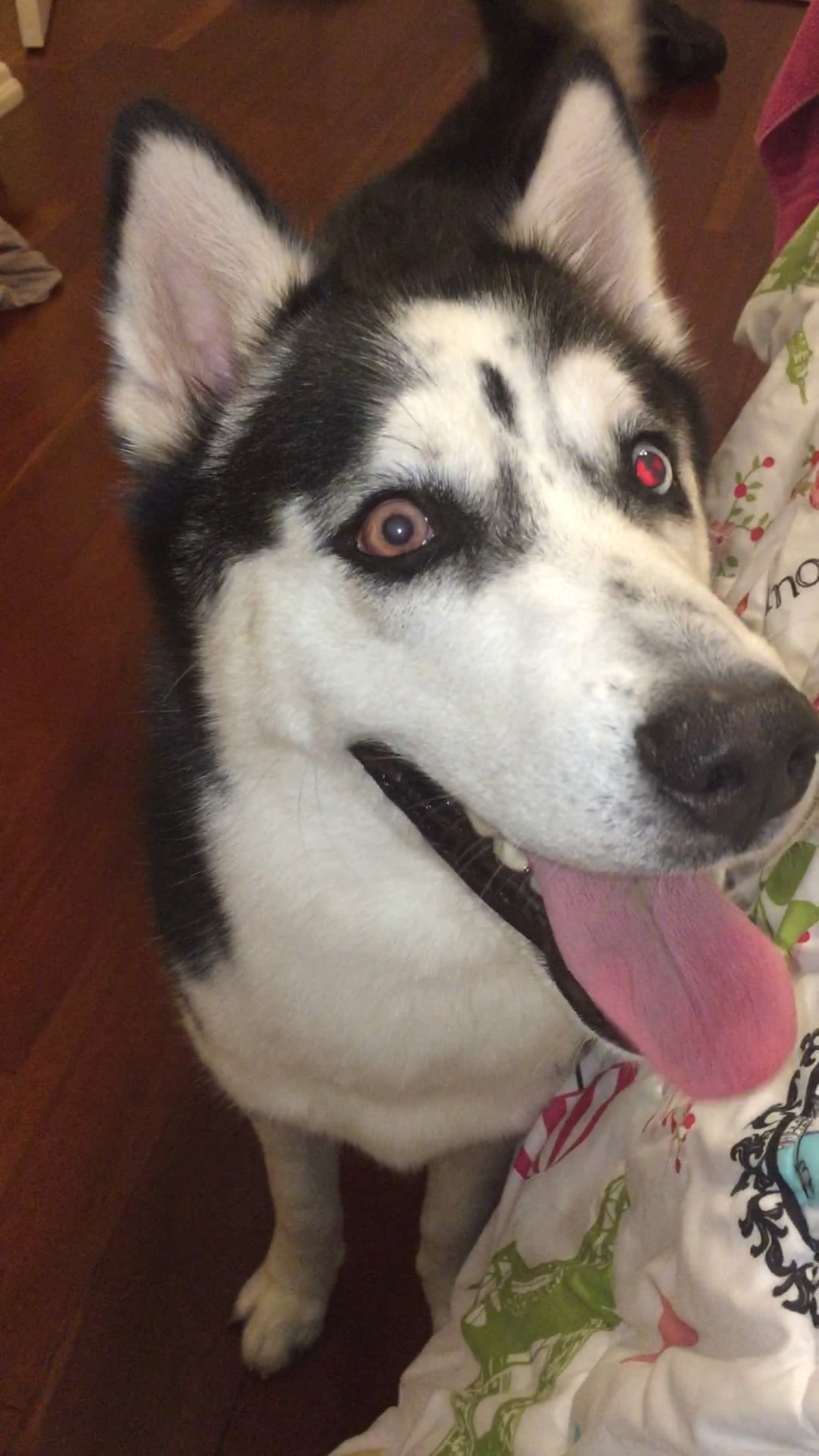 Question details sensitive content