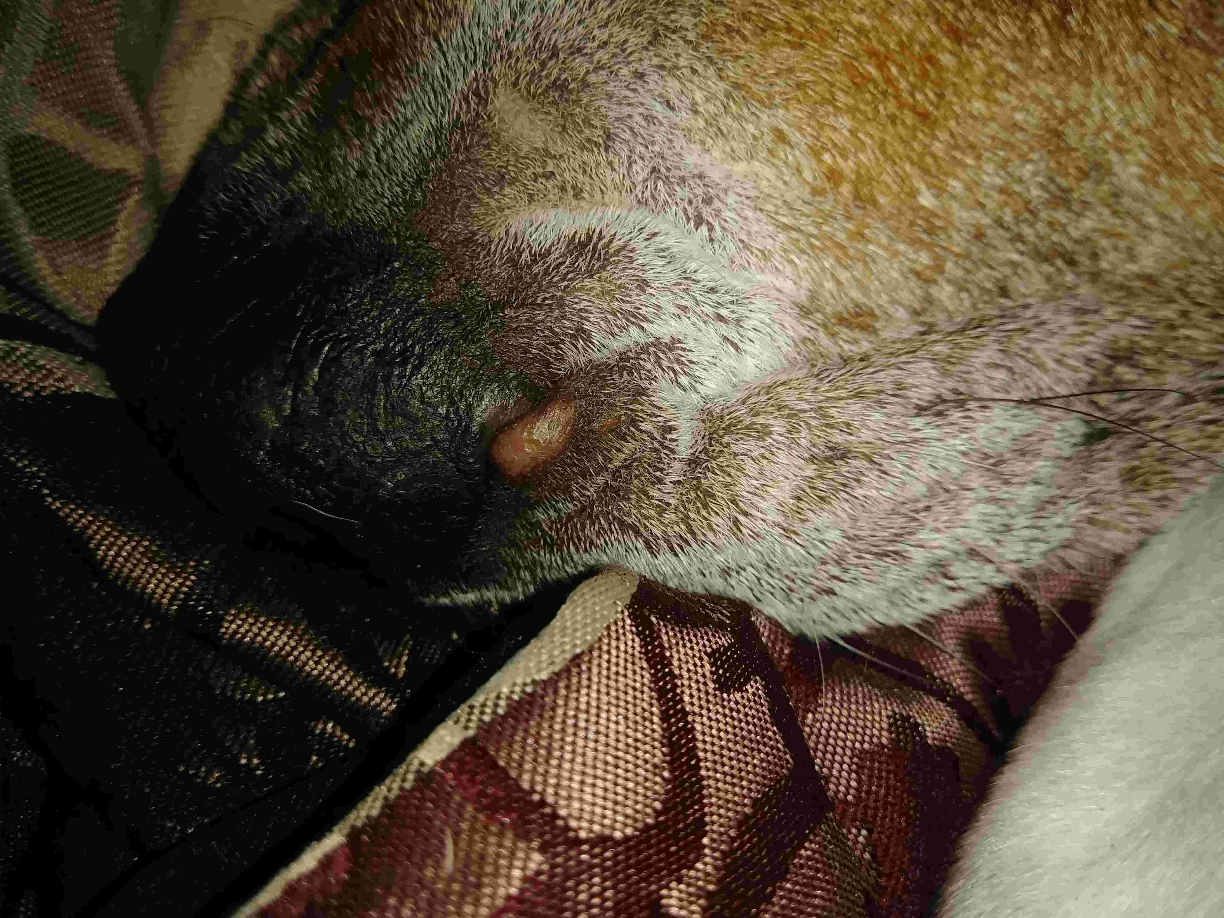 Question details sensitive content