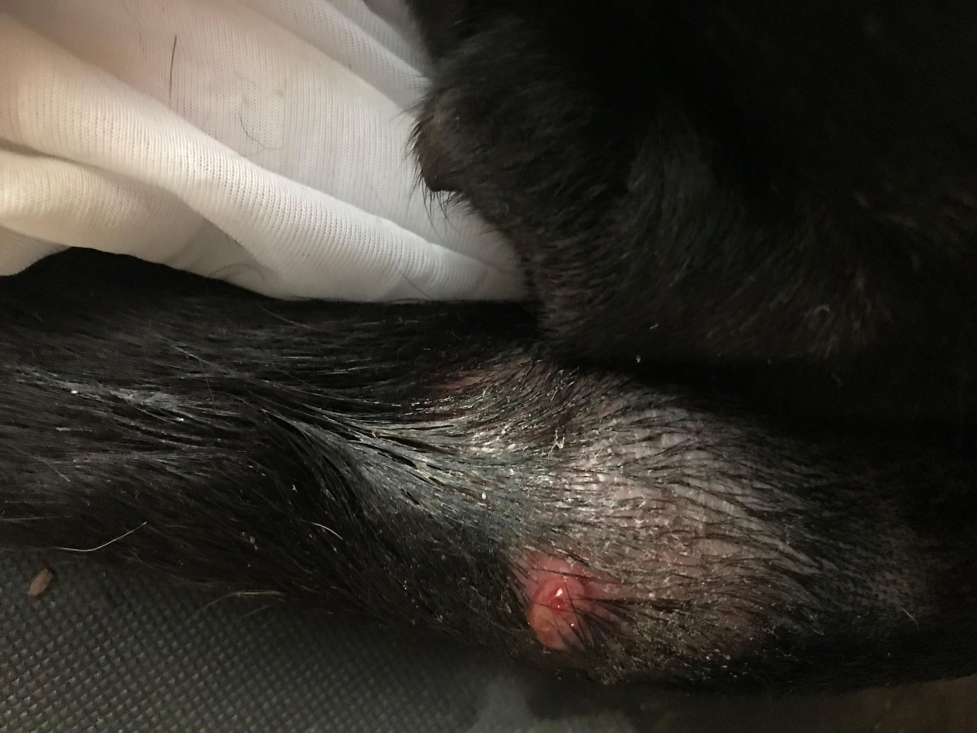 Question details sensitive content