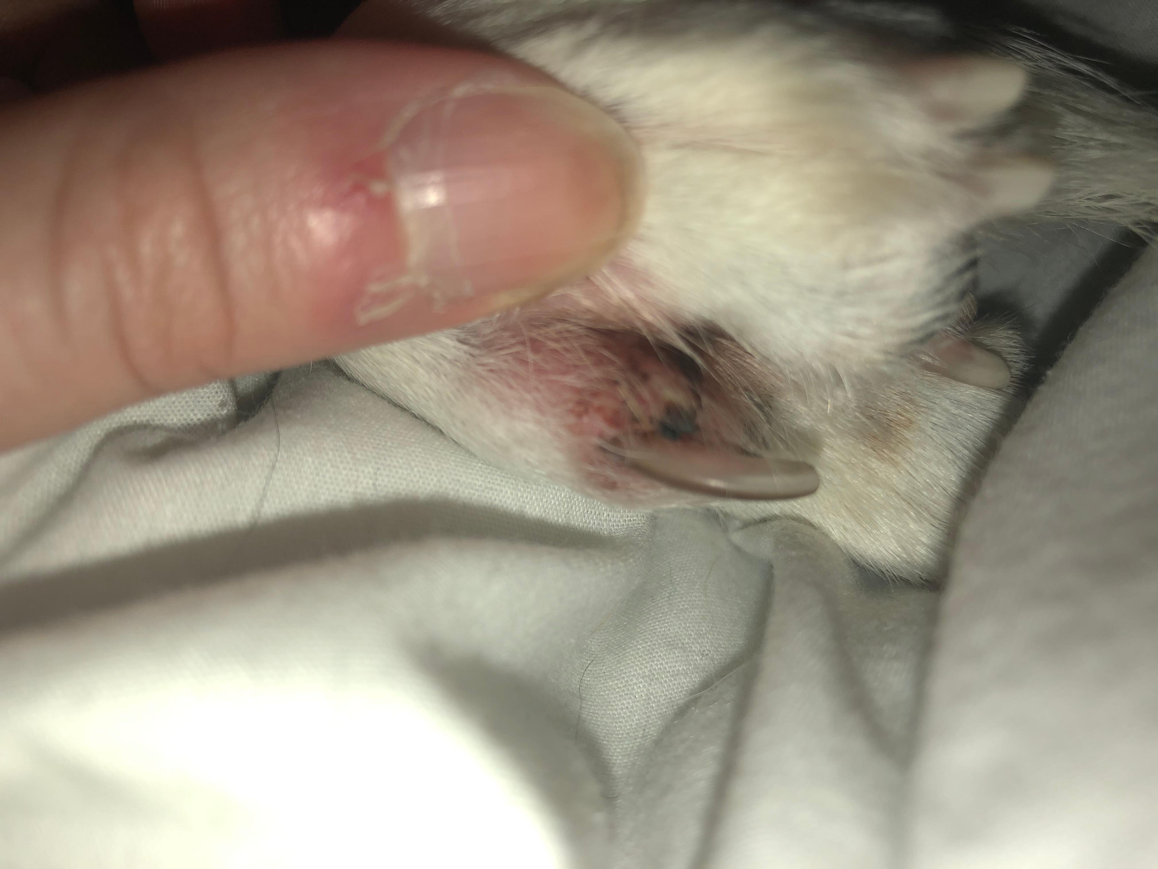 Question details sensitive content