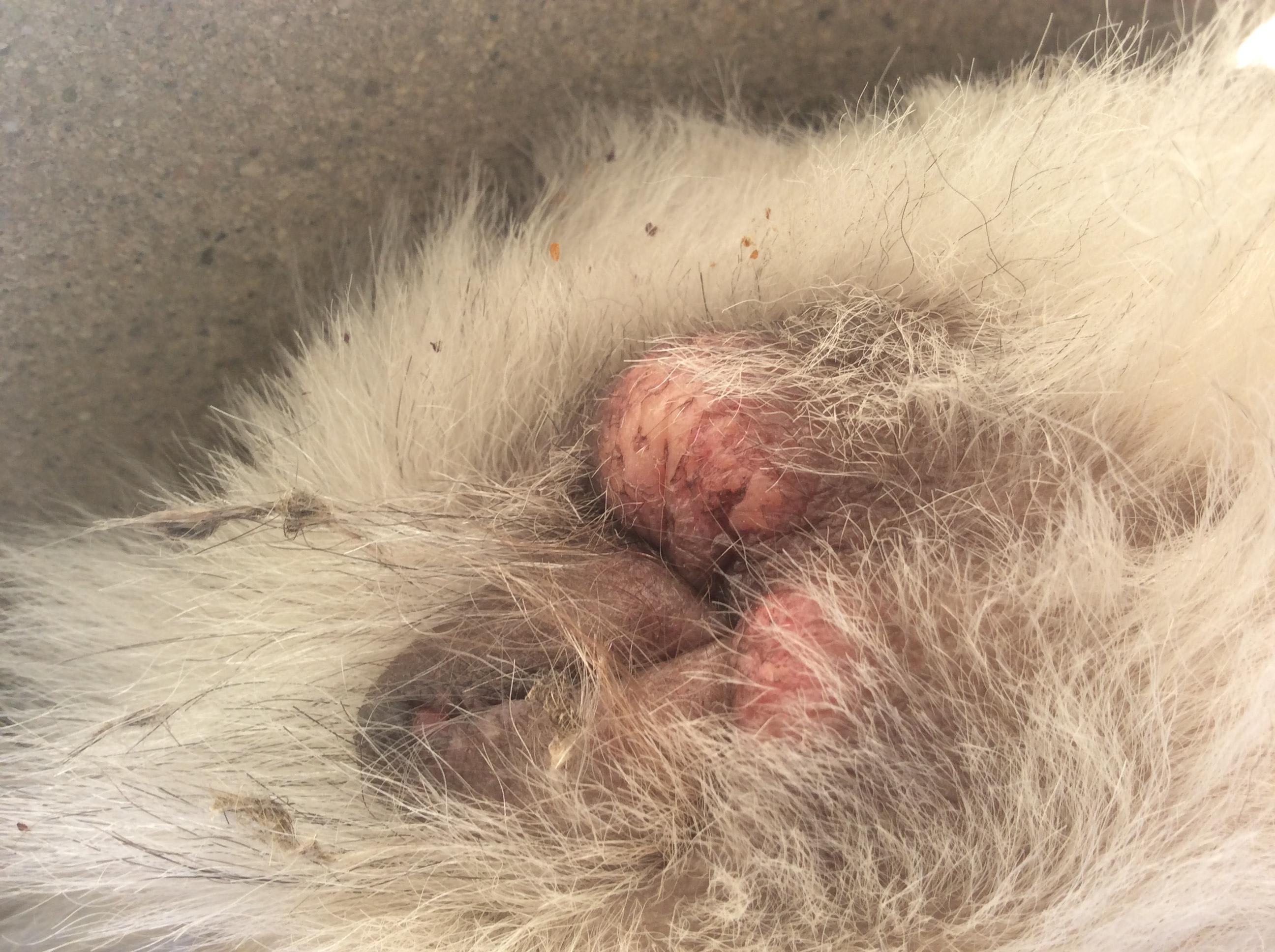 Question details sensitive content