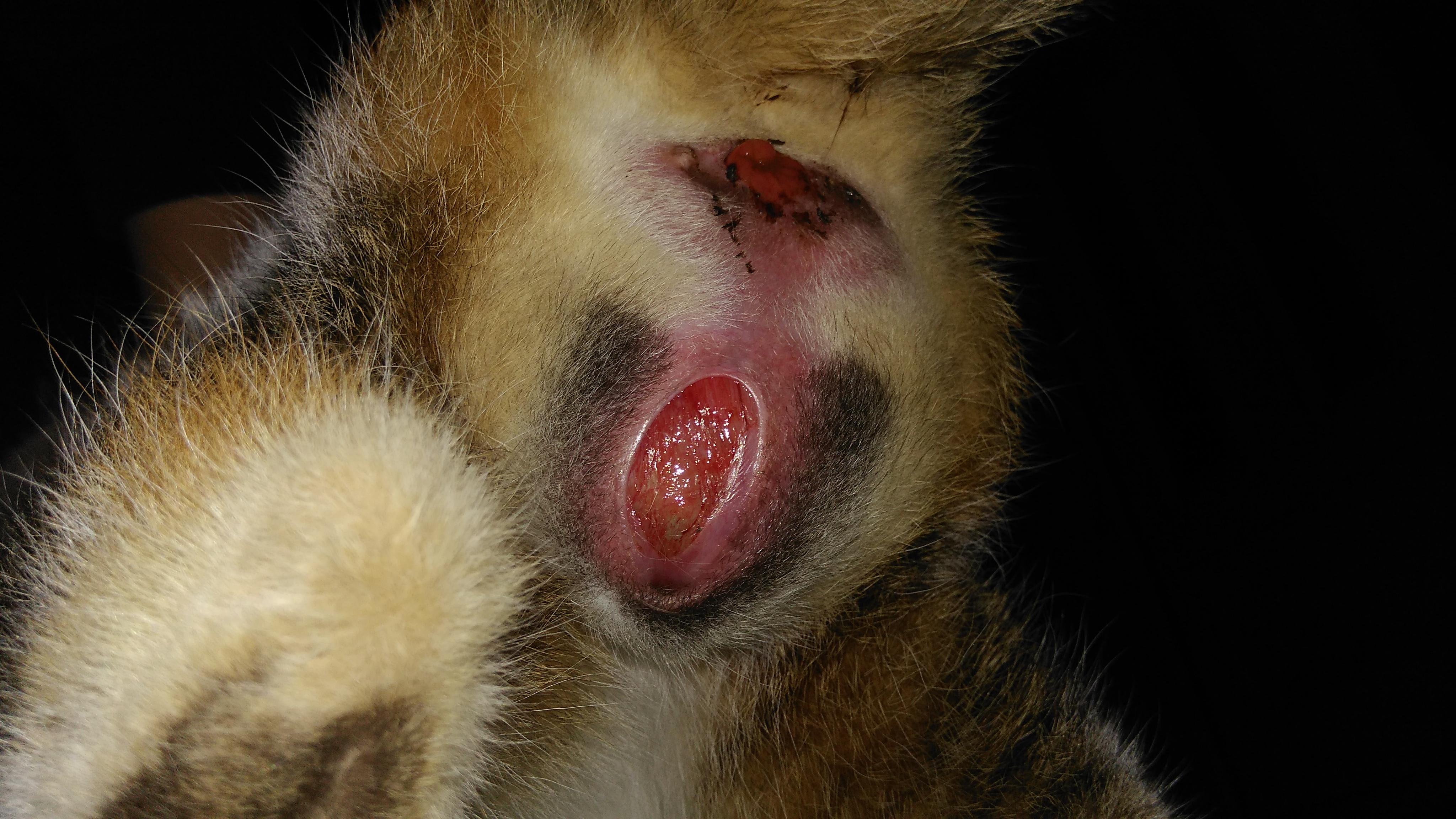 Question details sensitive content