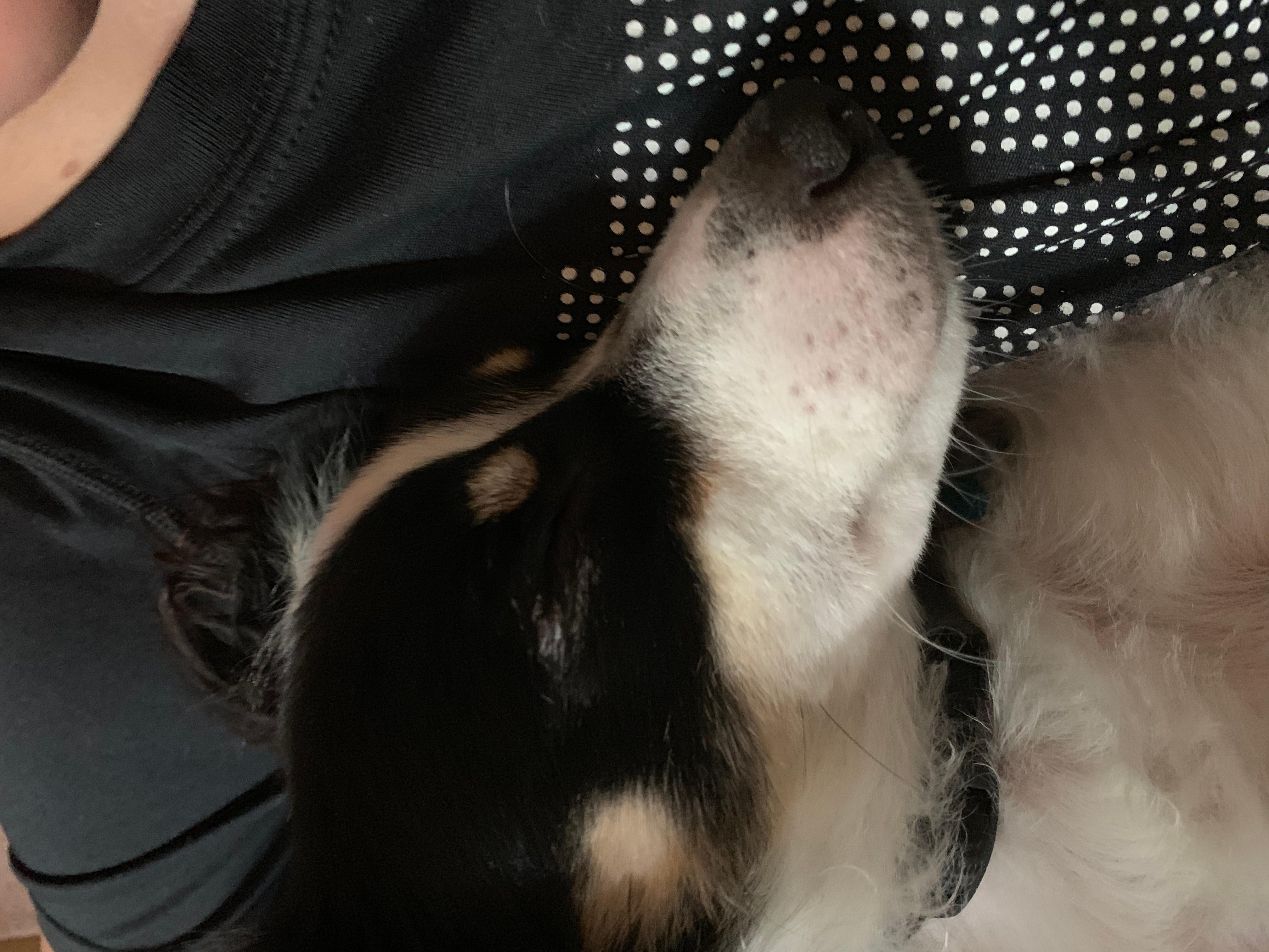 Question details sensitive content