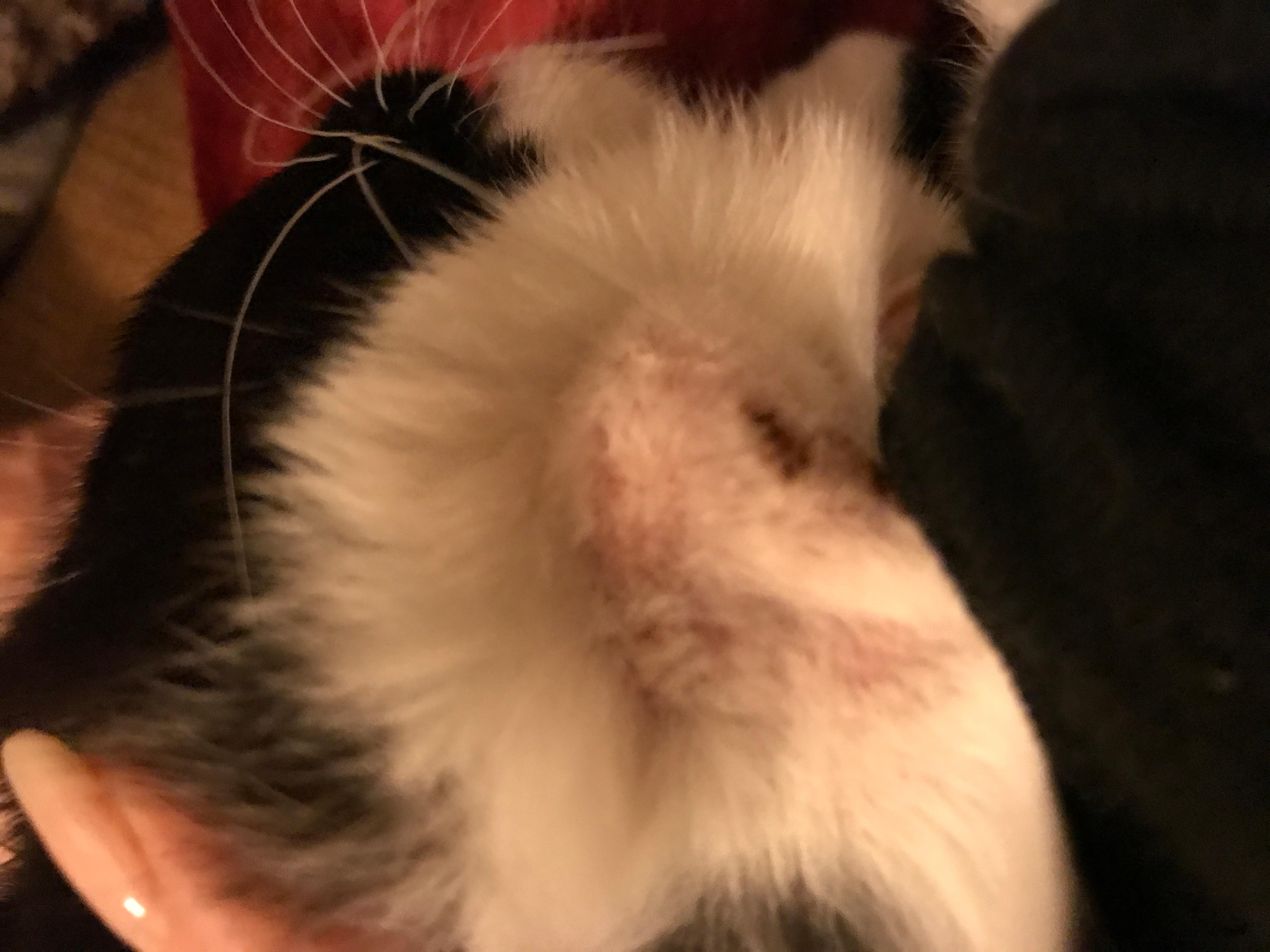 Question details sensitive content