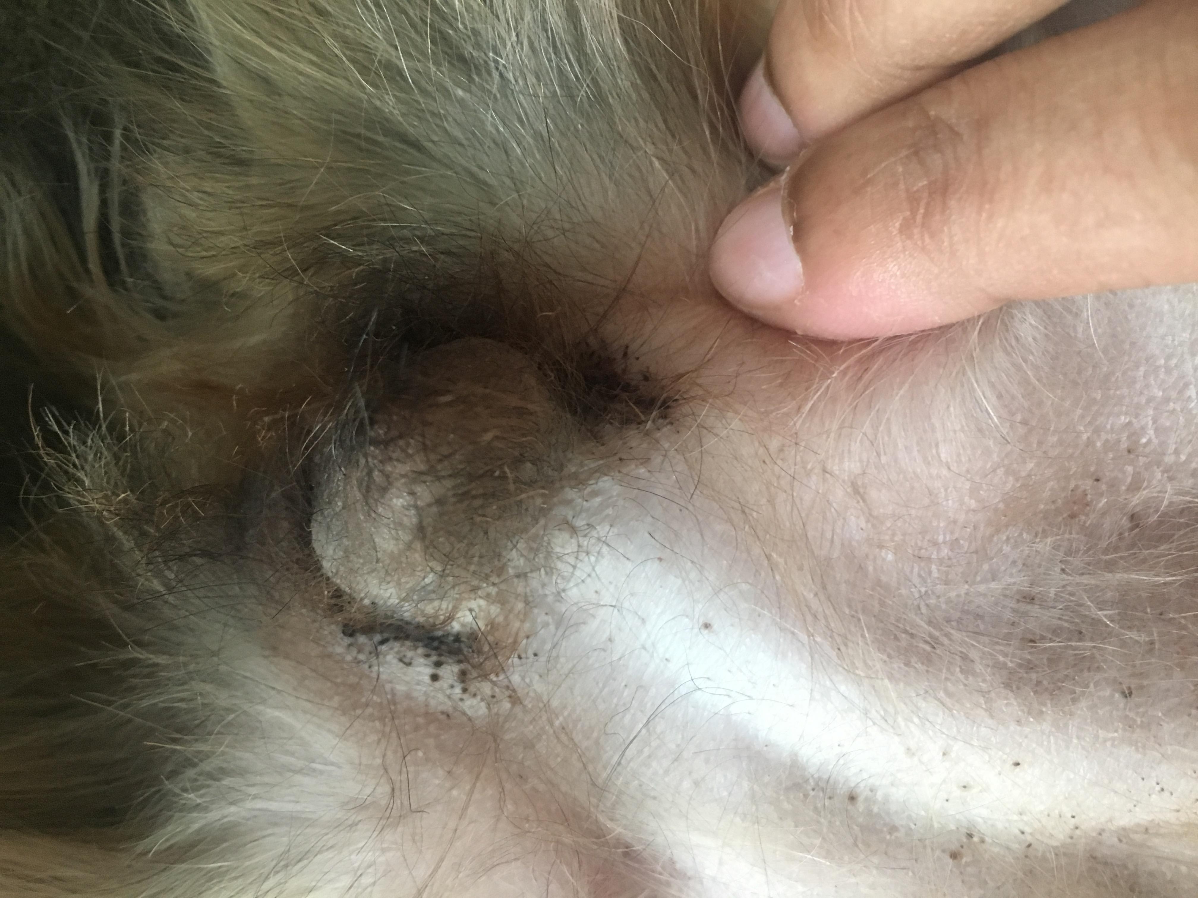 Question details sensitive content