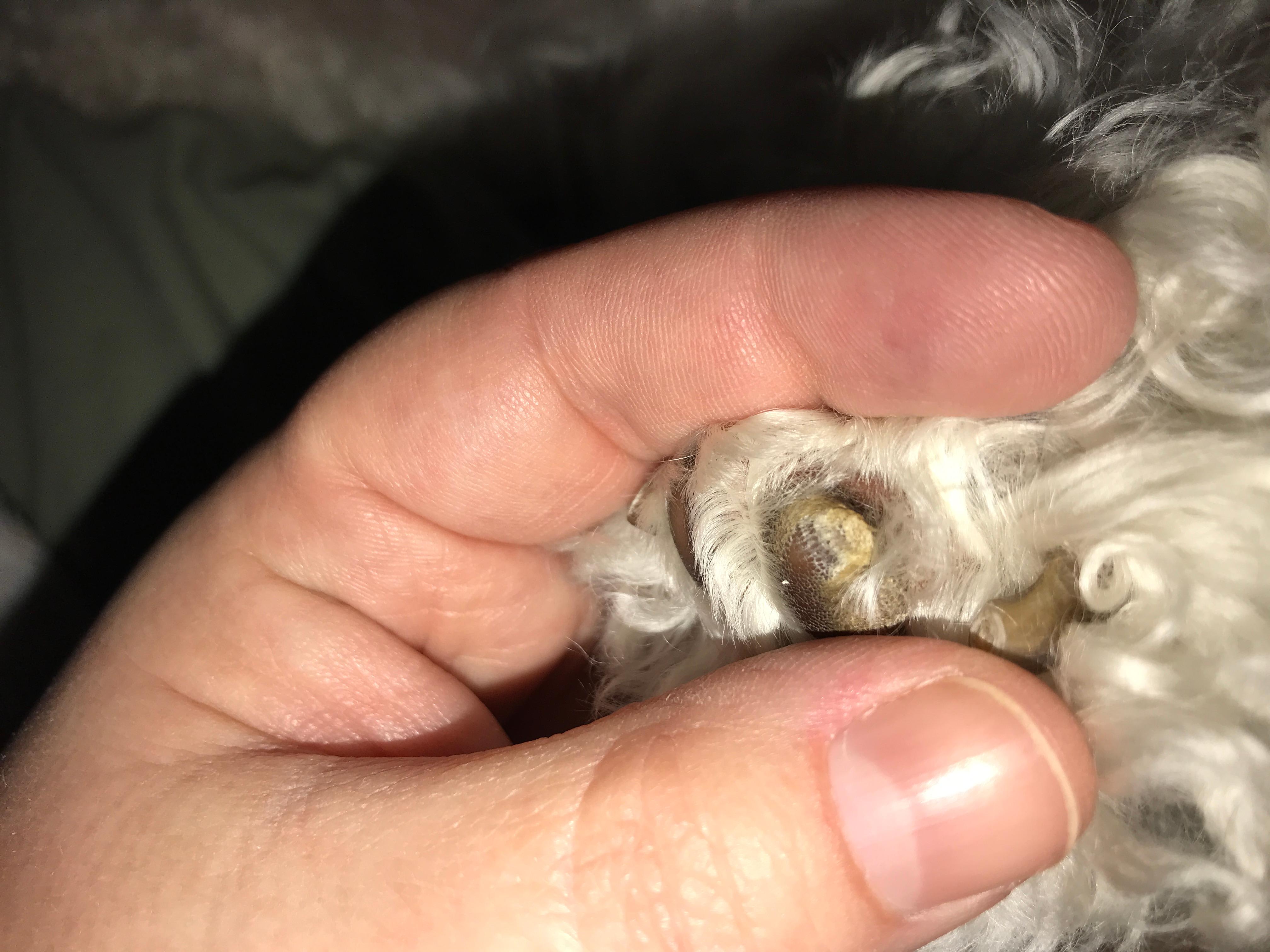 Question details sensitive content