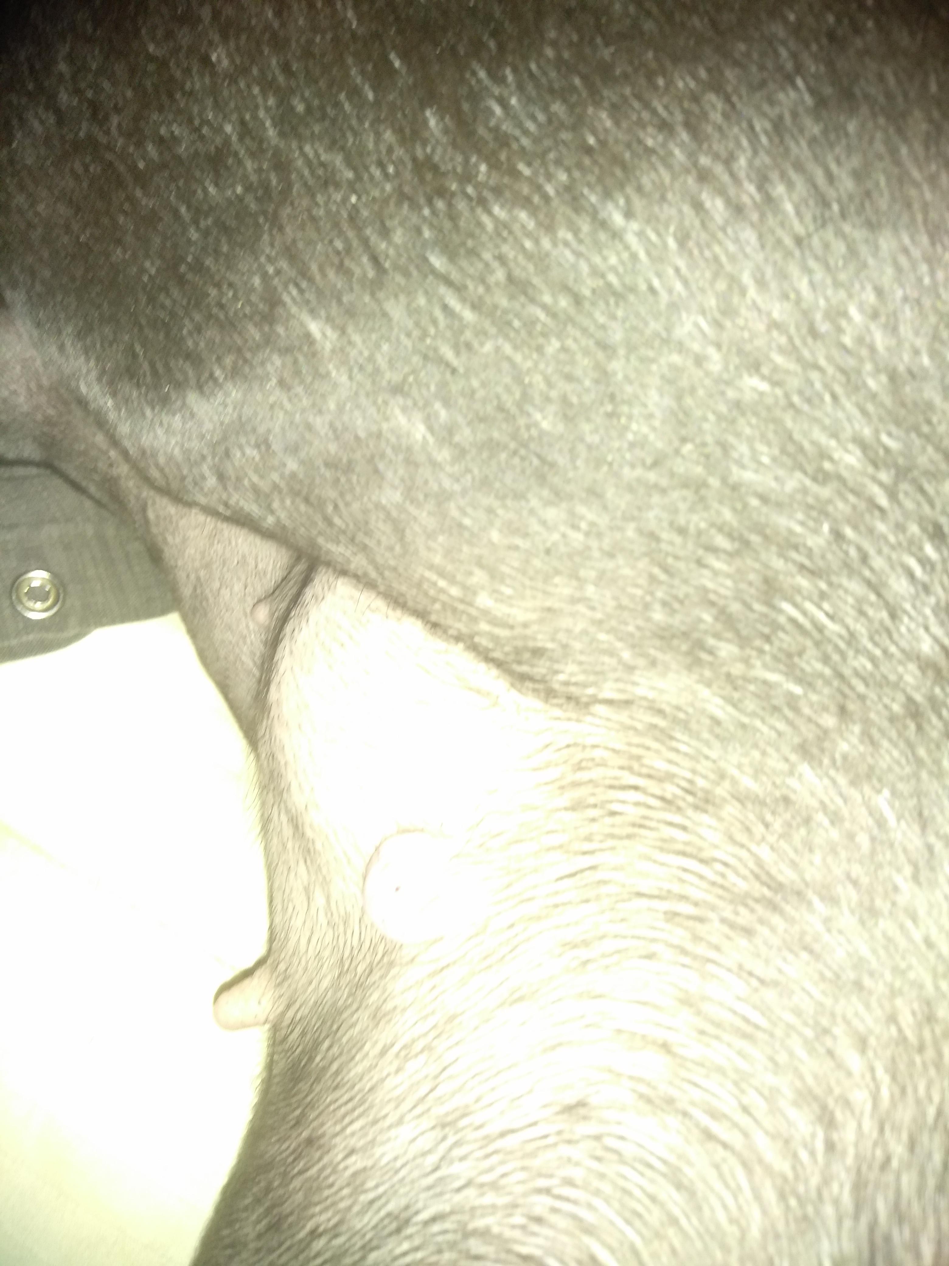 Question details sensitive content