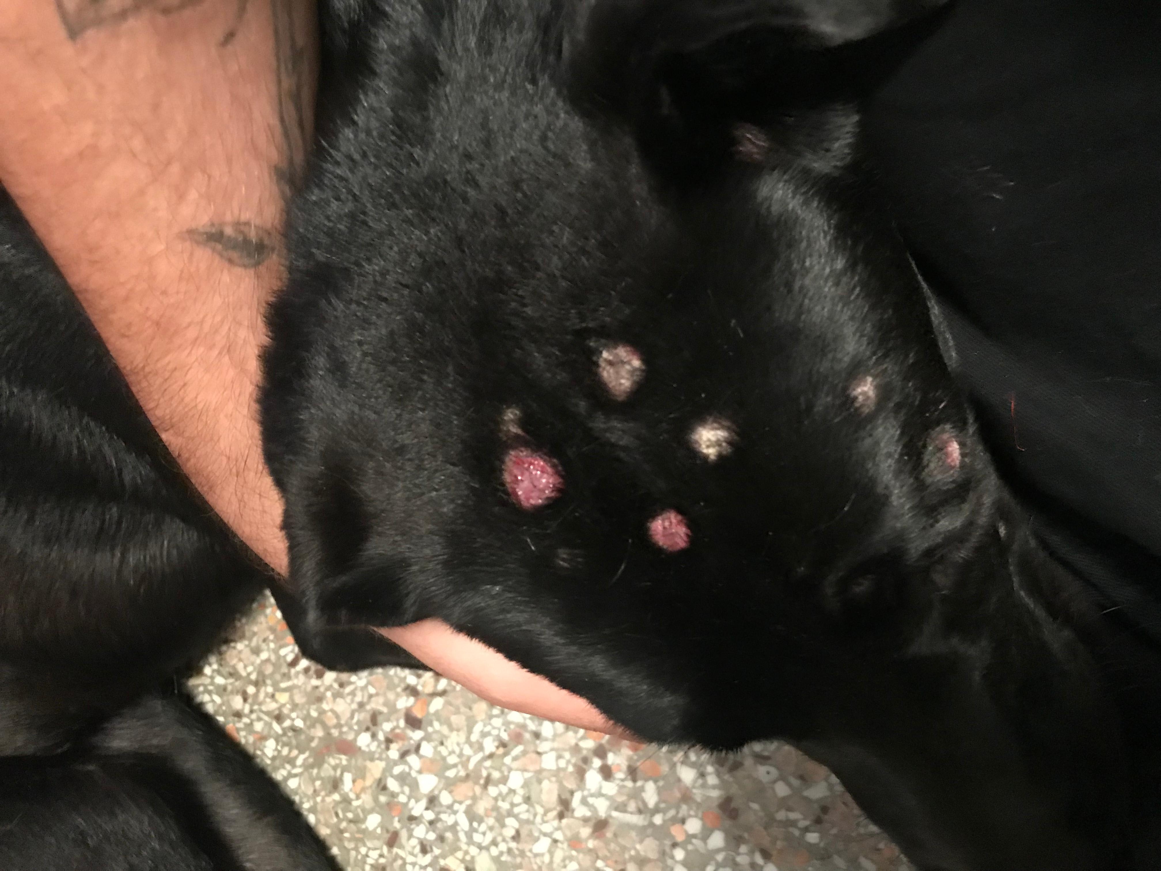 Question details sensitive content