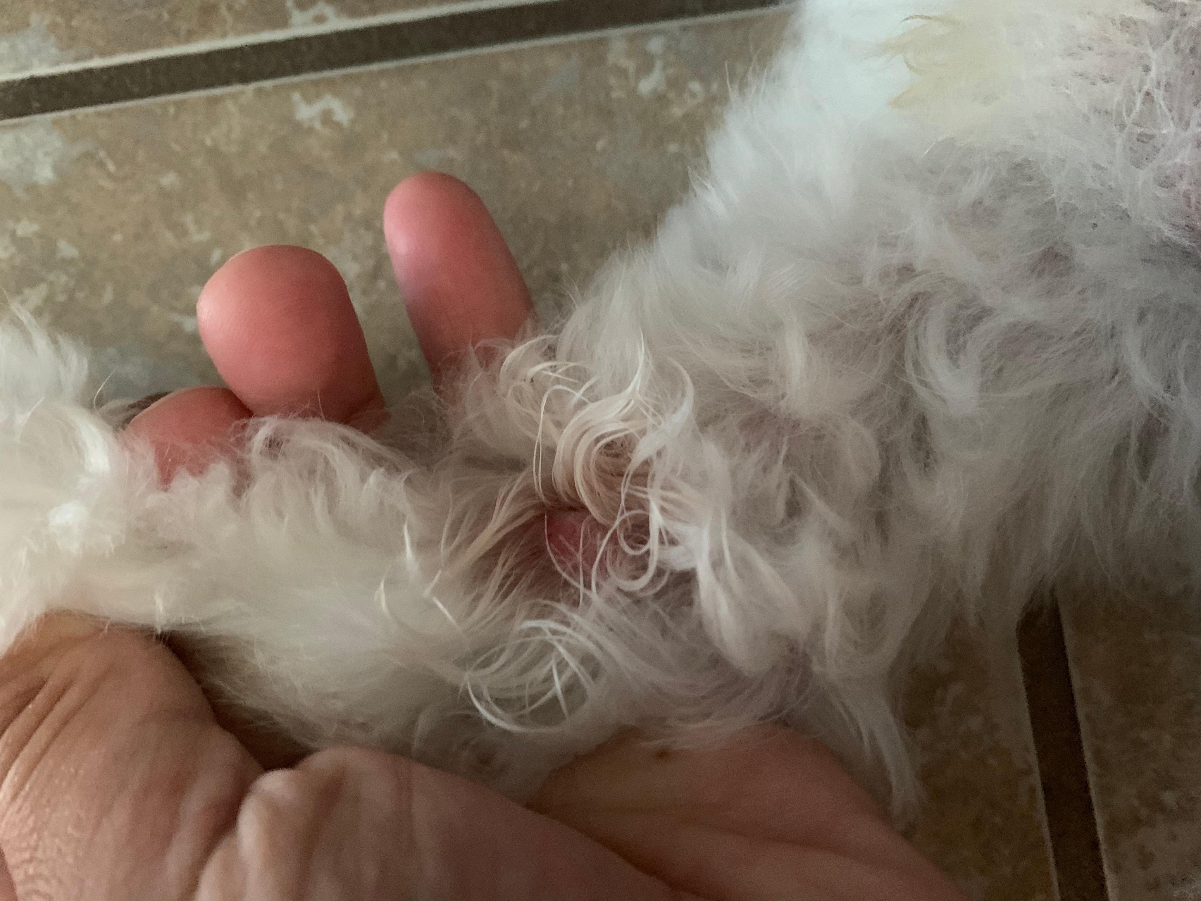 Question details sensitive content