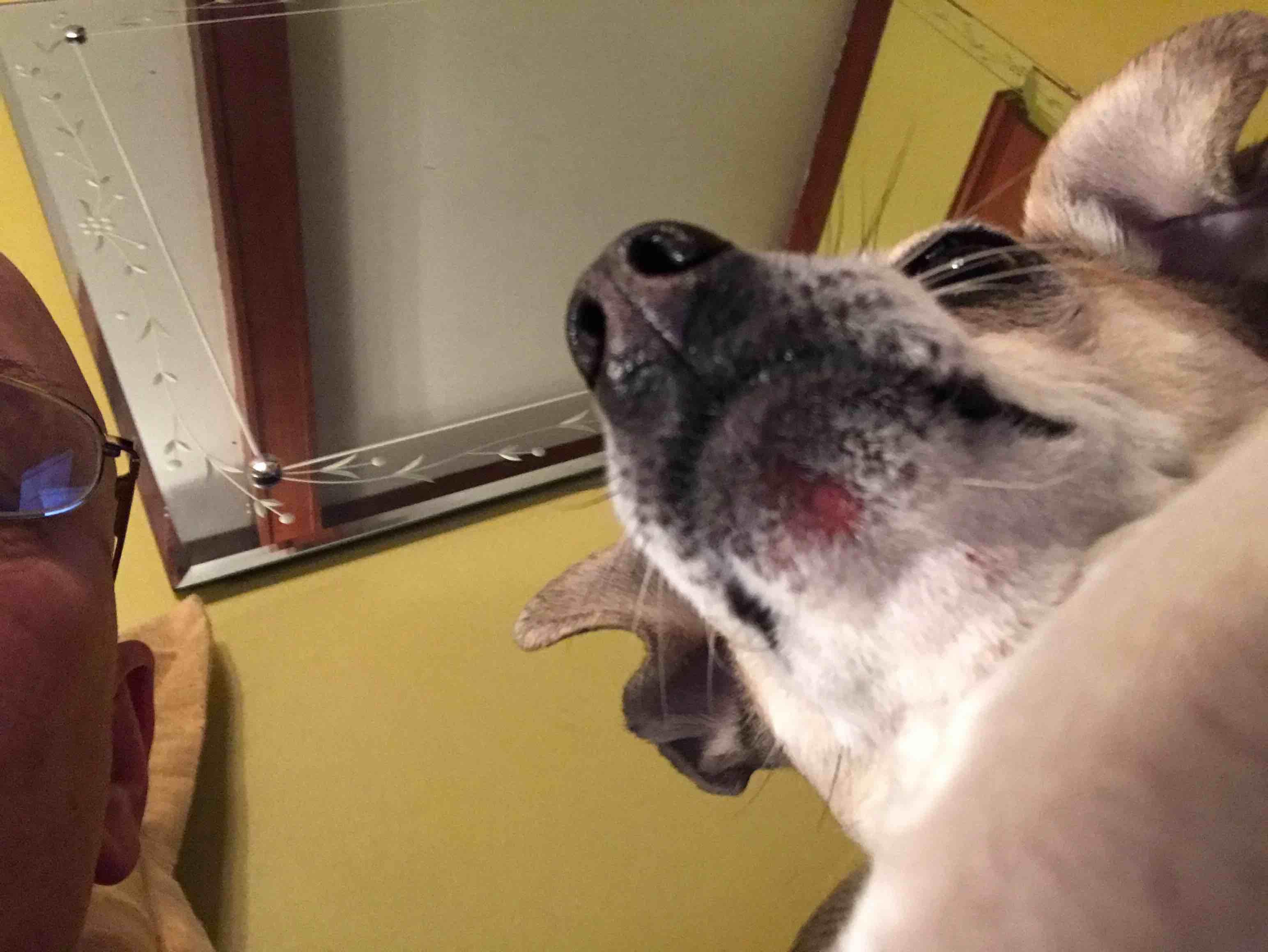 Question details sensitive content