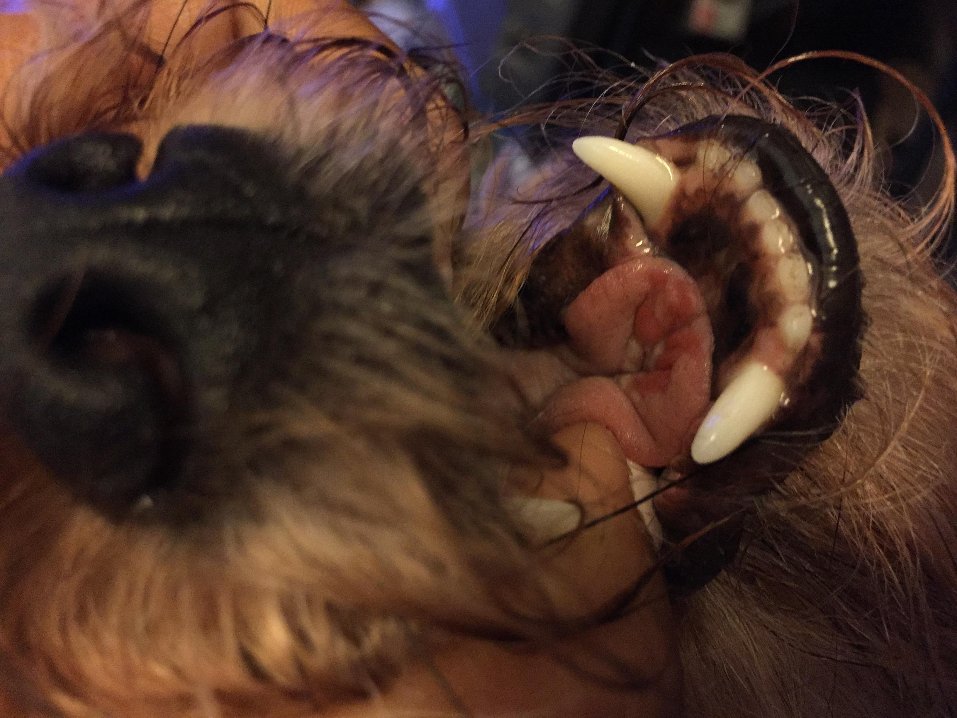 Question details sensitive content