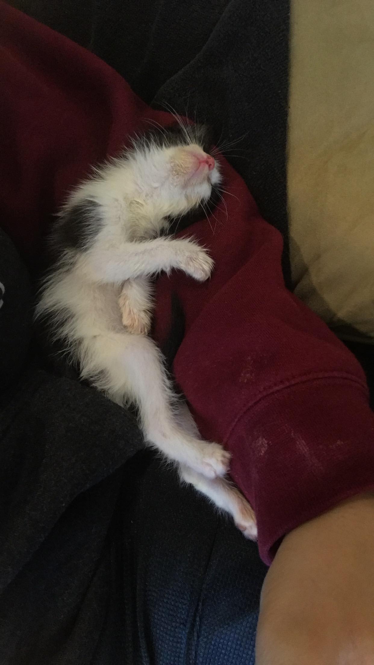 Question details sensitive content