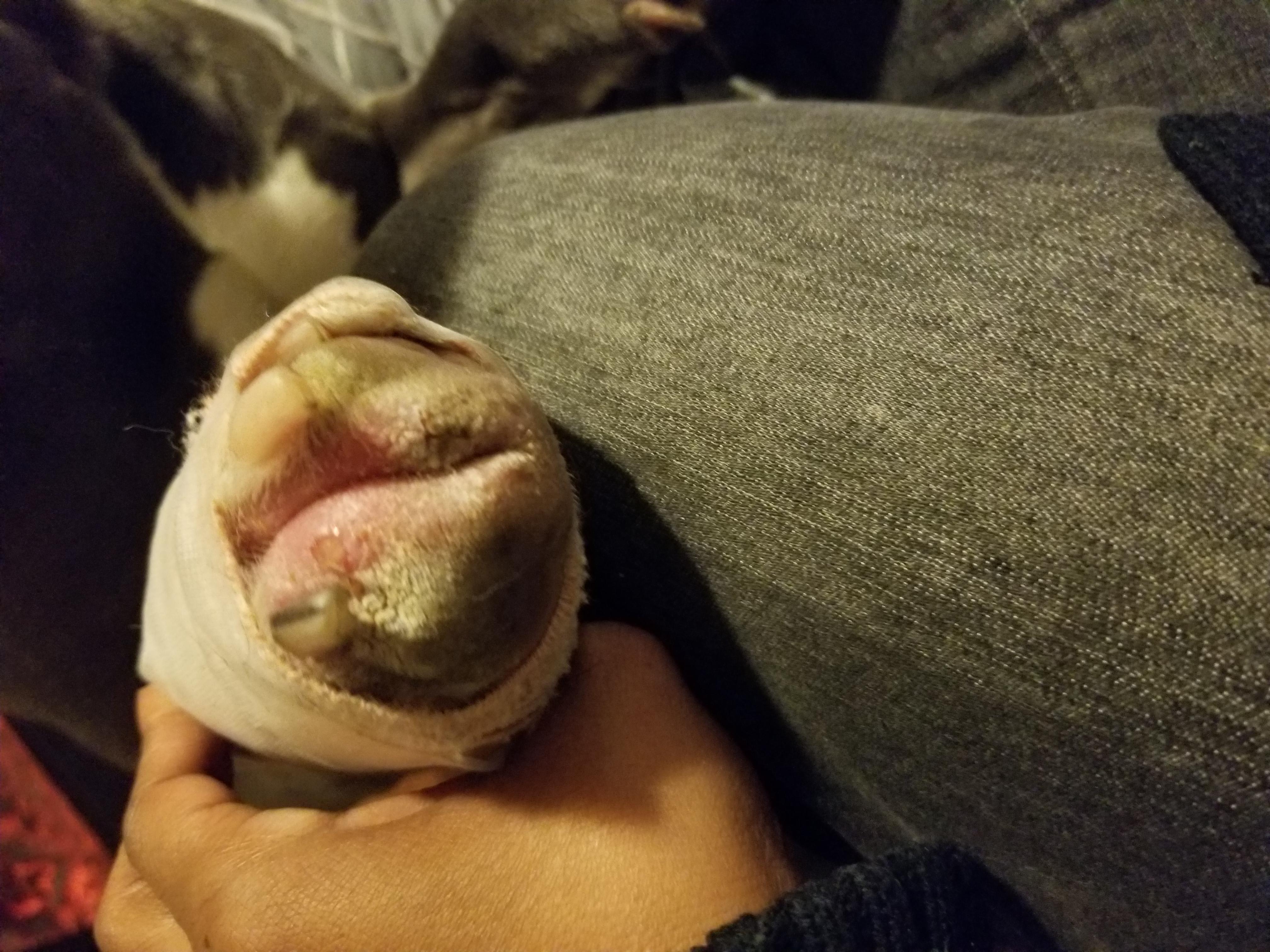 Question details sensitive content