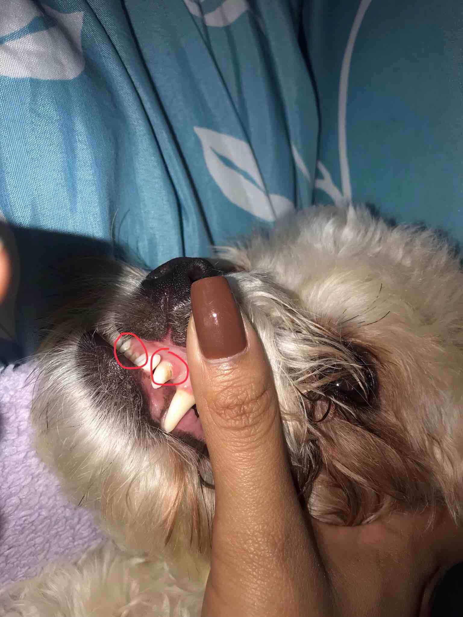 Question details sensitive content