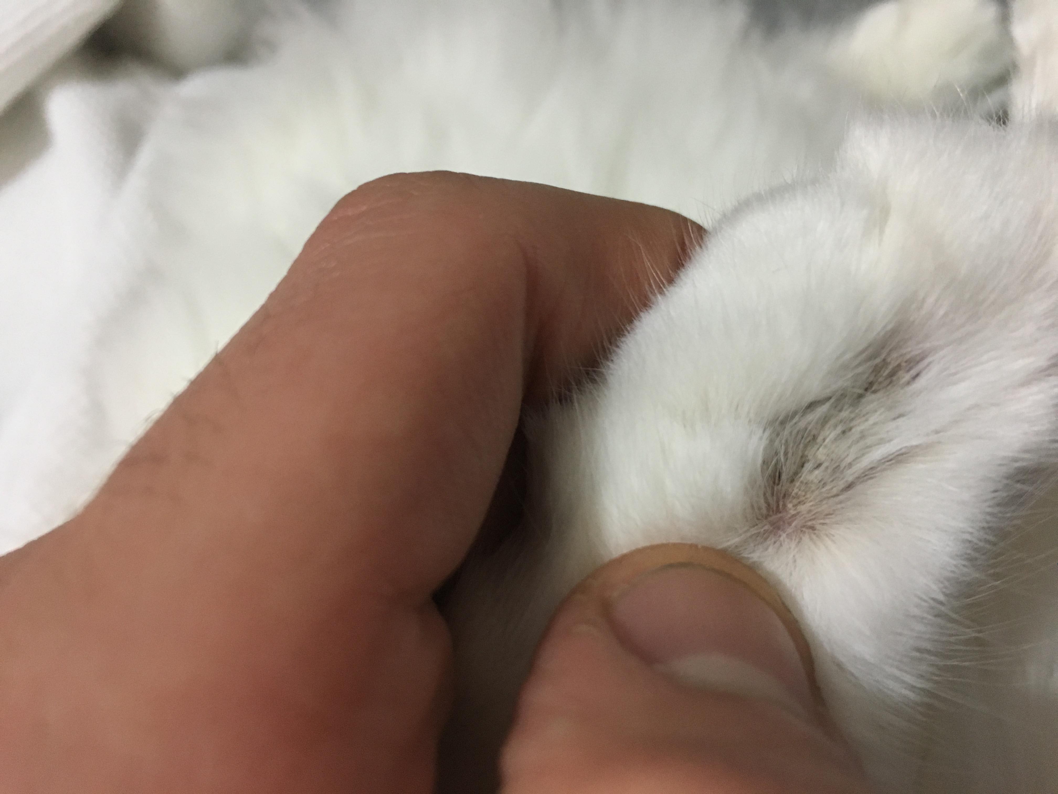 Question details sensitive content