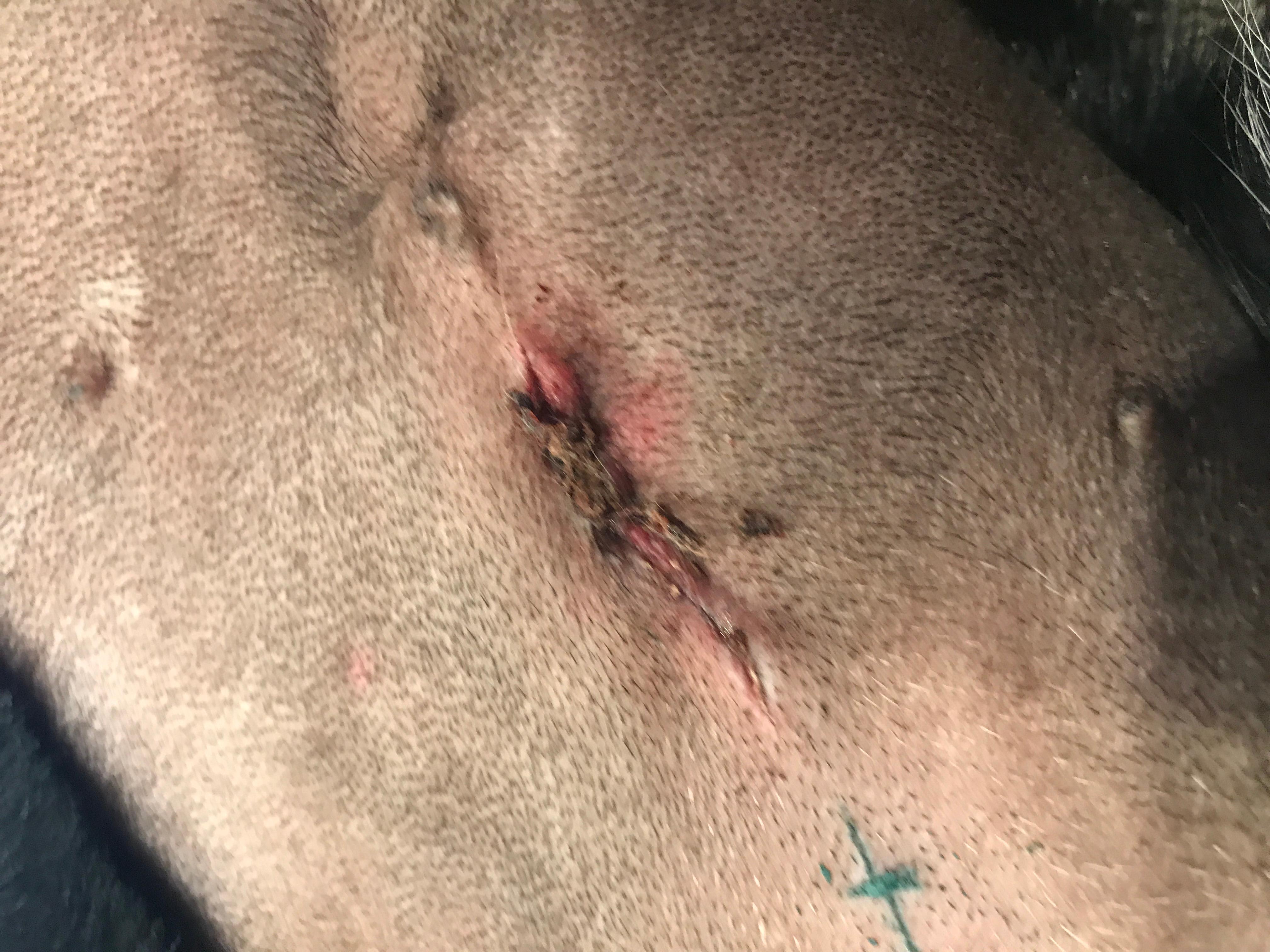 Question details sensitive content