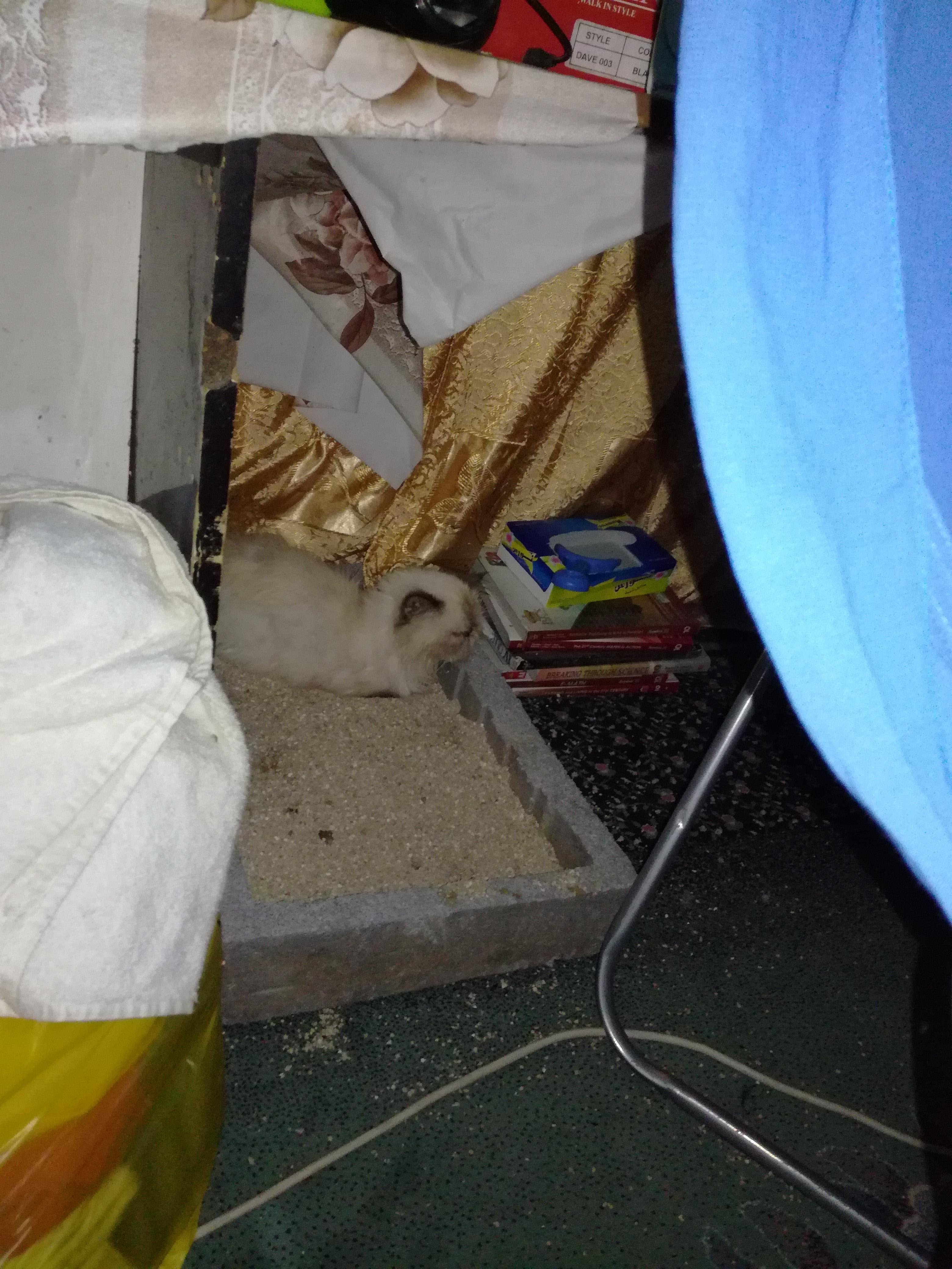 Question details sensitive content