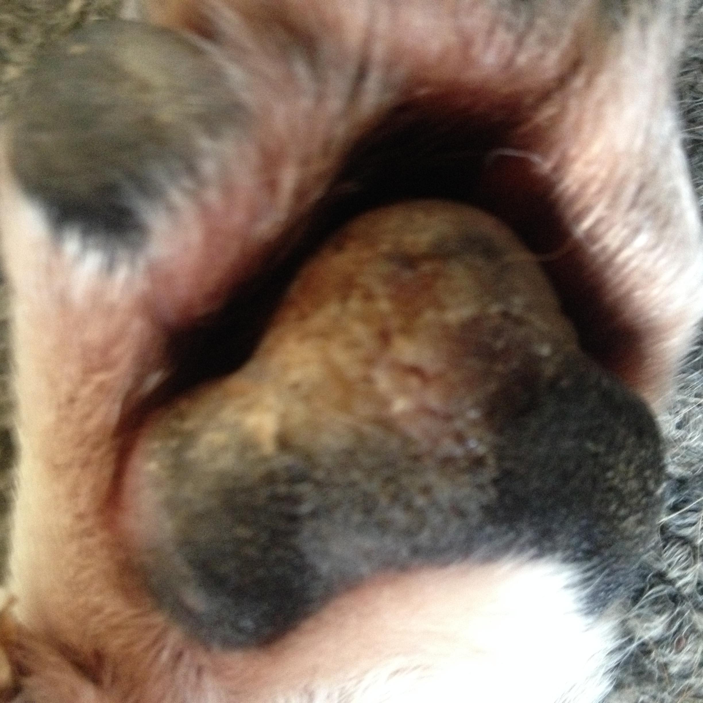 Question details sensitive content