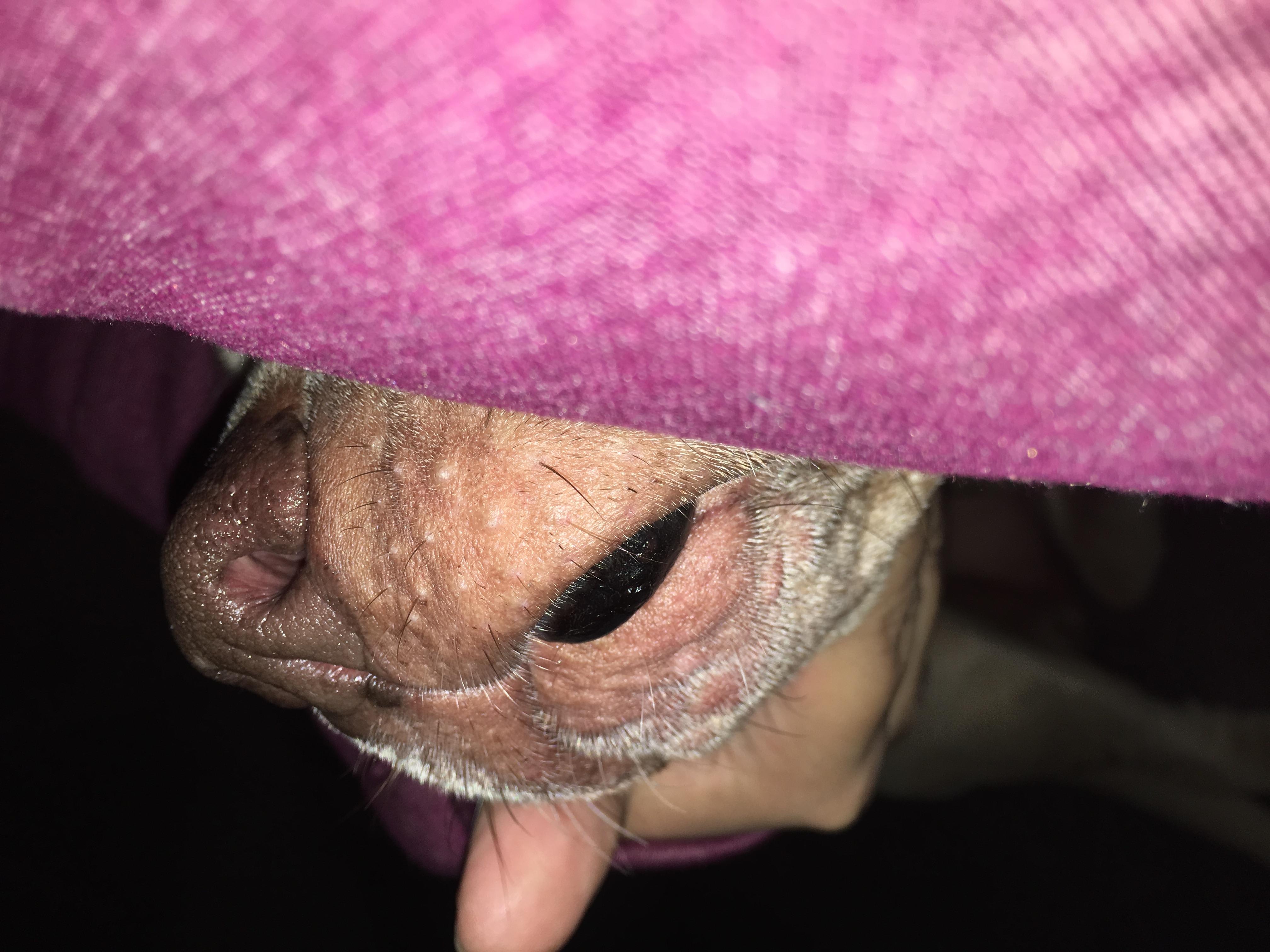 Question details sensitive content