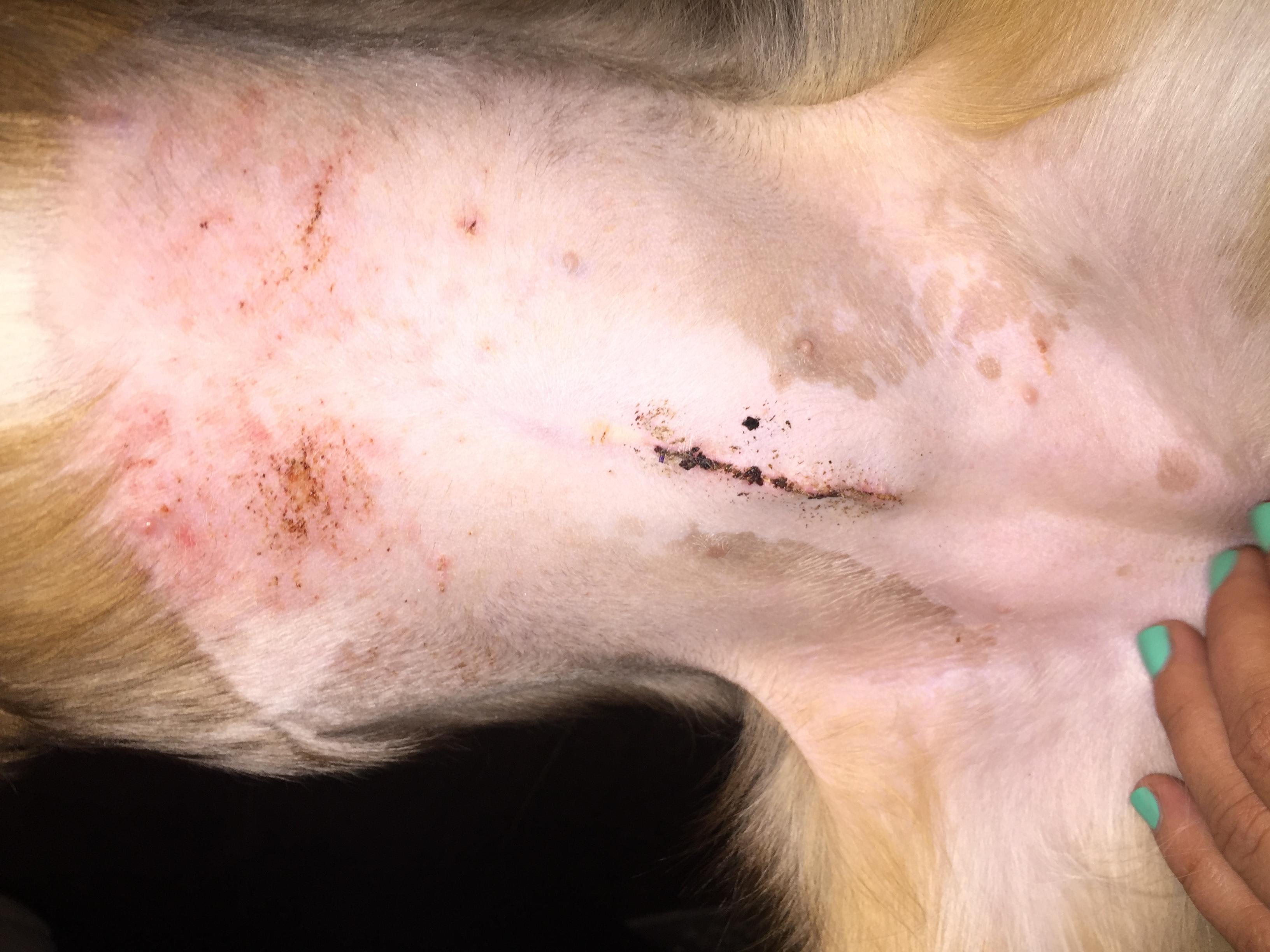 Question details sensitive content