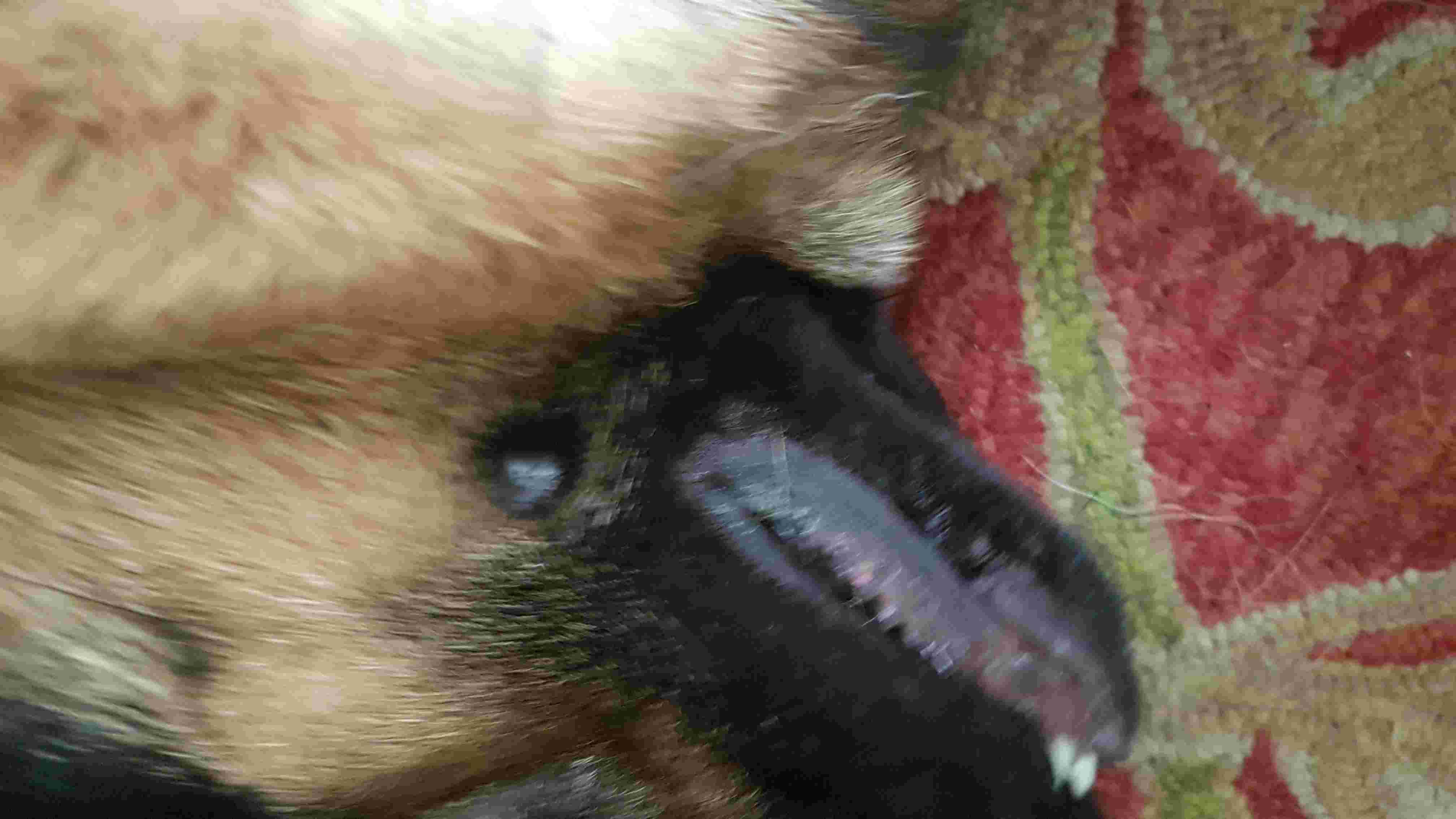 Question details sensitive content