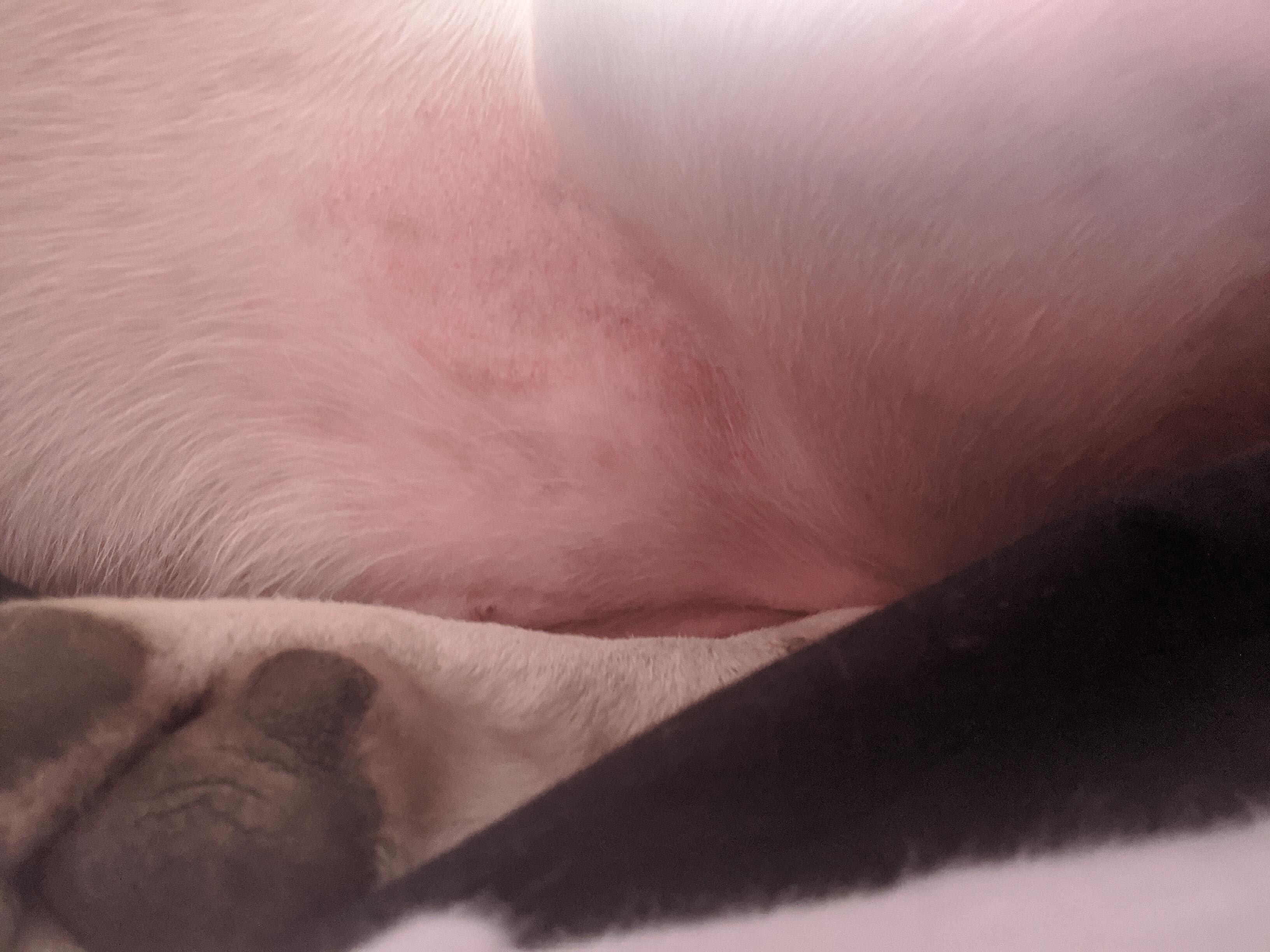 Question details sensitive content