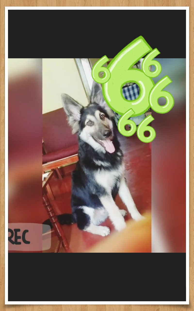 Question details sensitive content