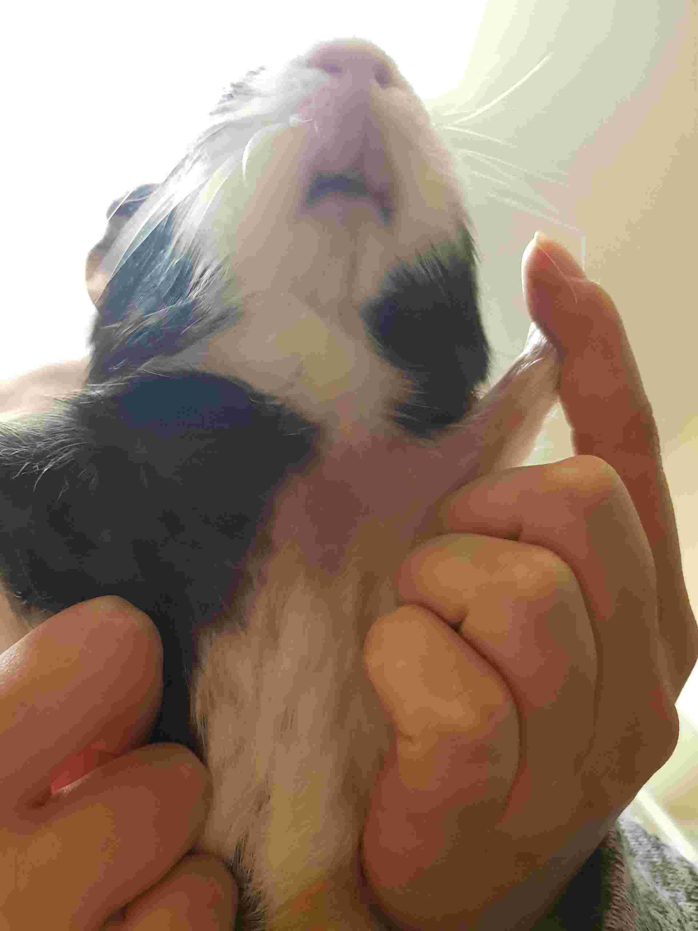 Question details sensitive content