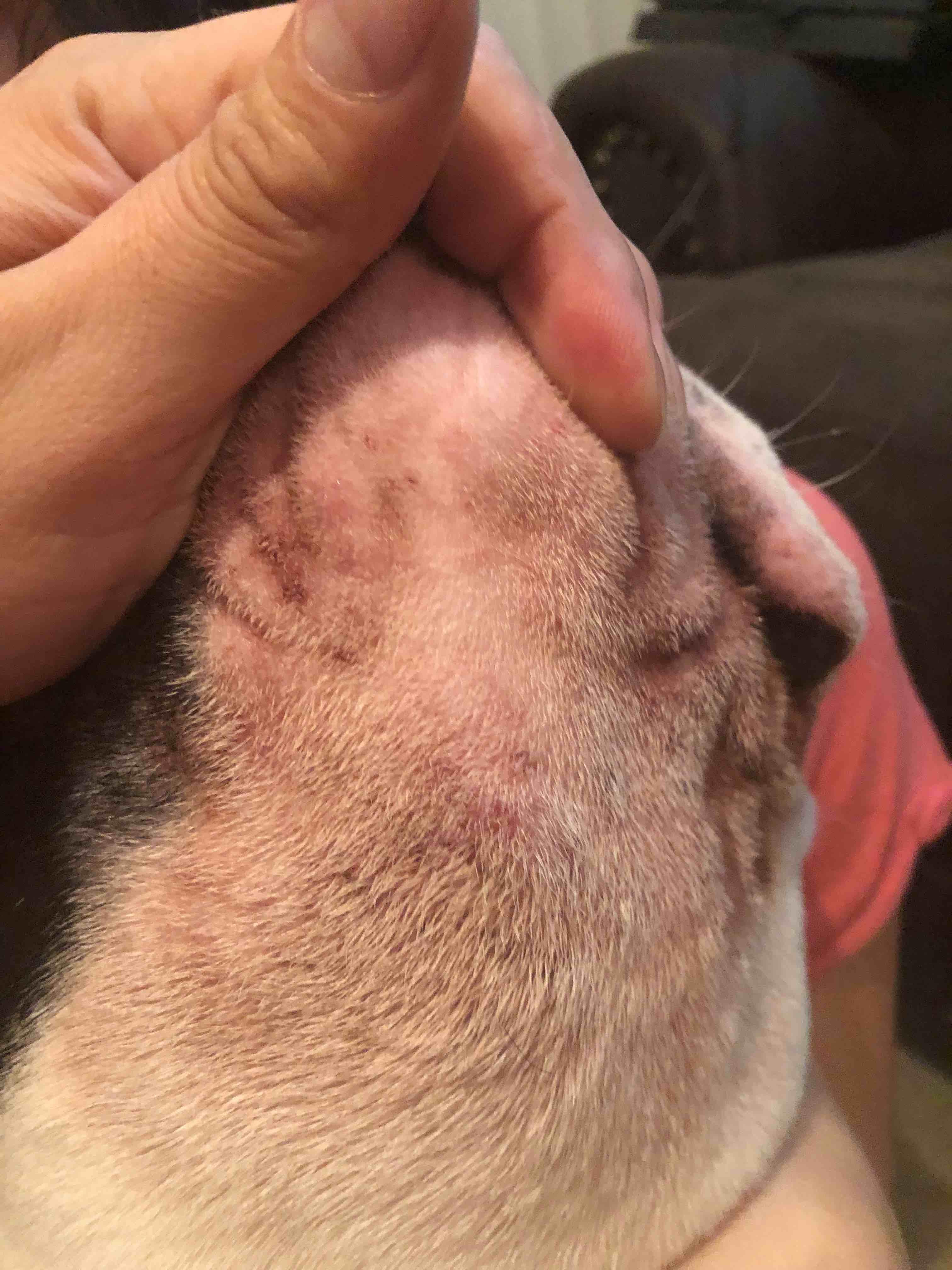 Question details sensitive content