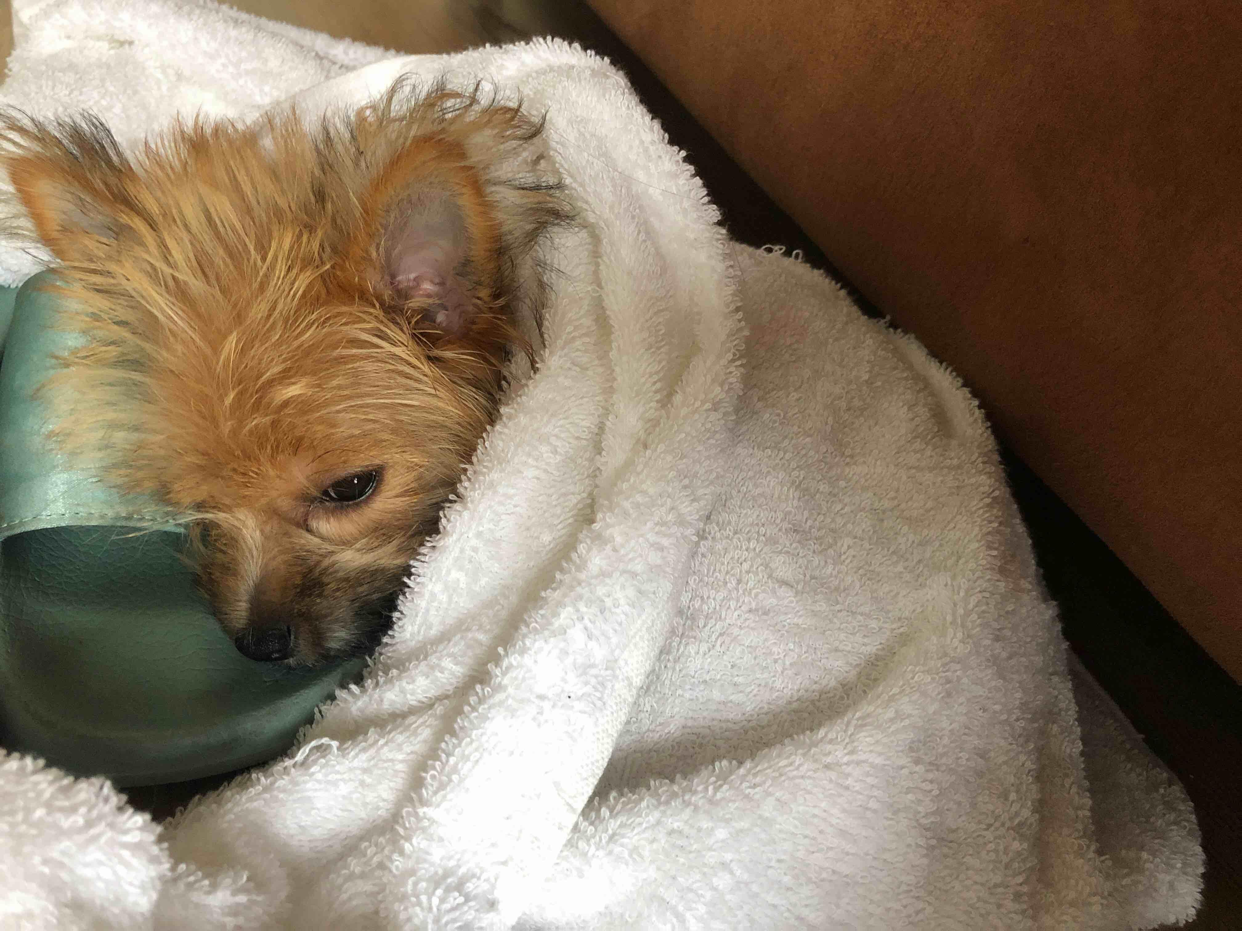 Question details sensitive content