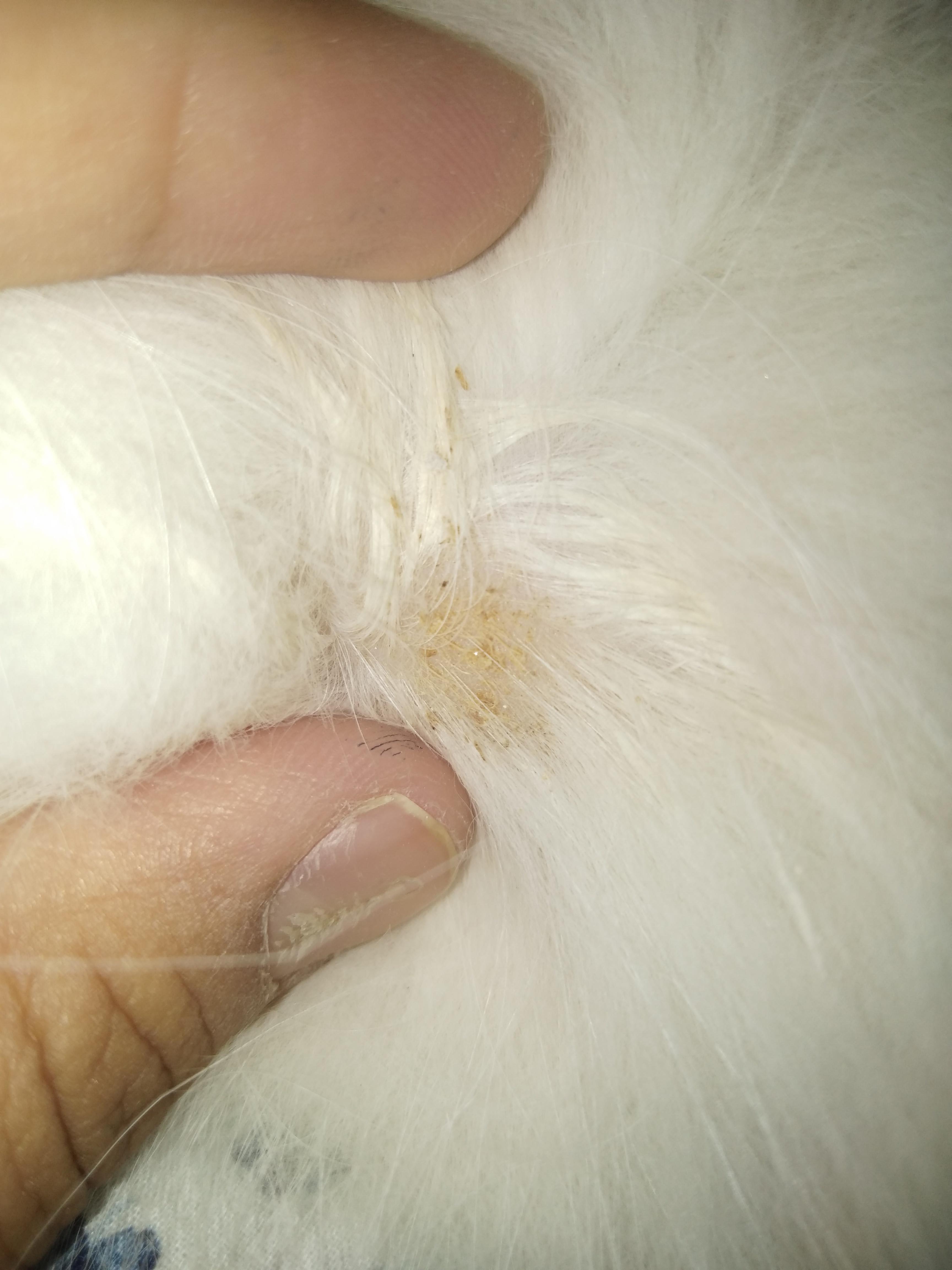 Question details sensitive content