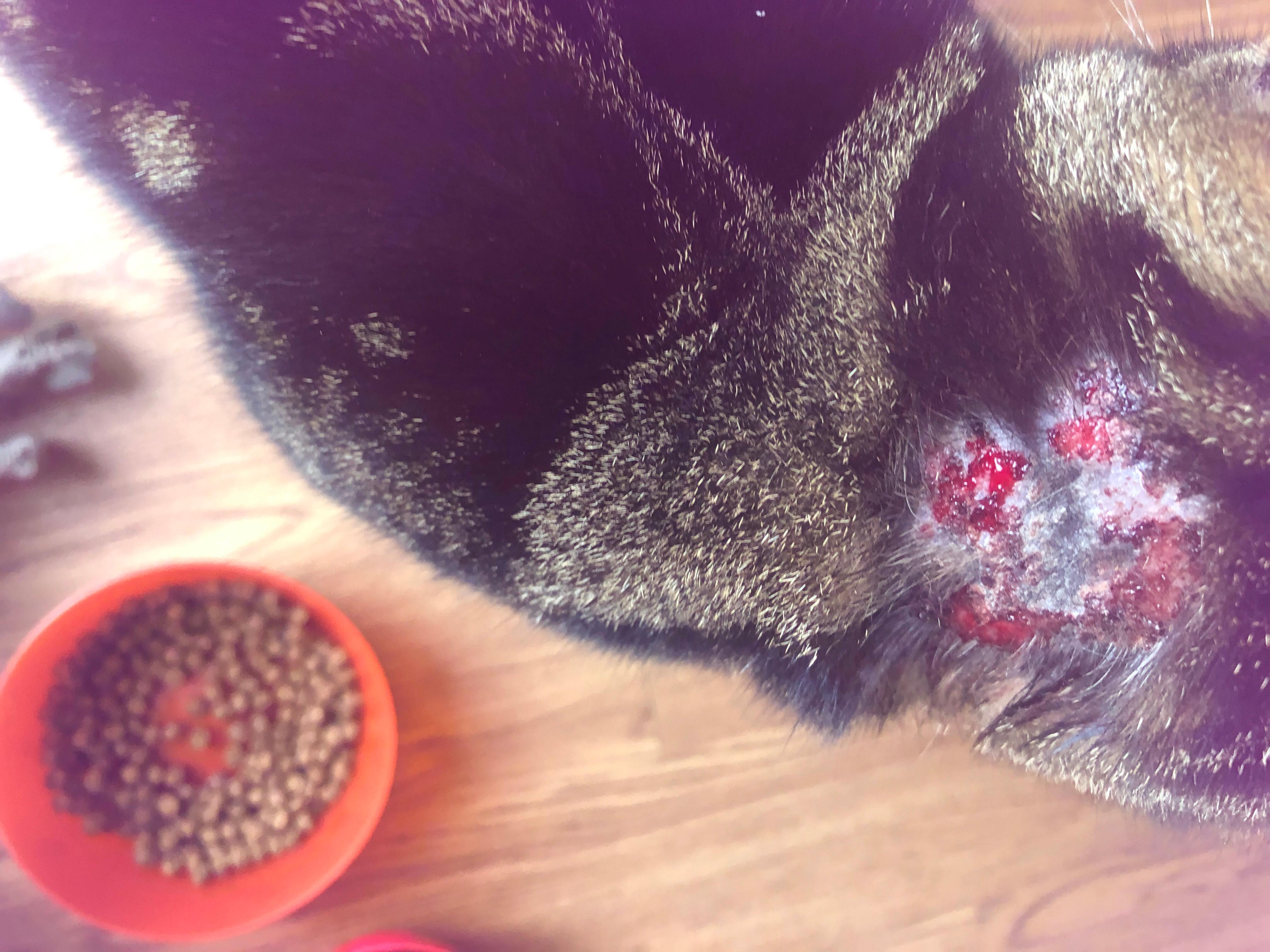 Question details sensitive content