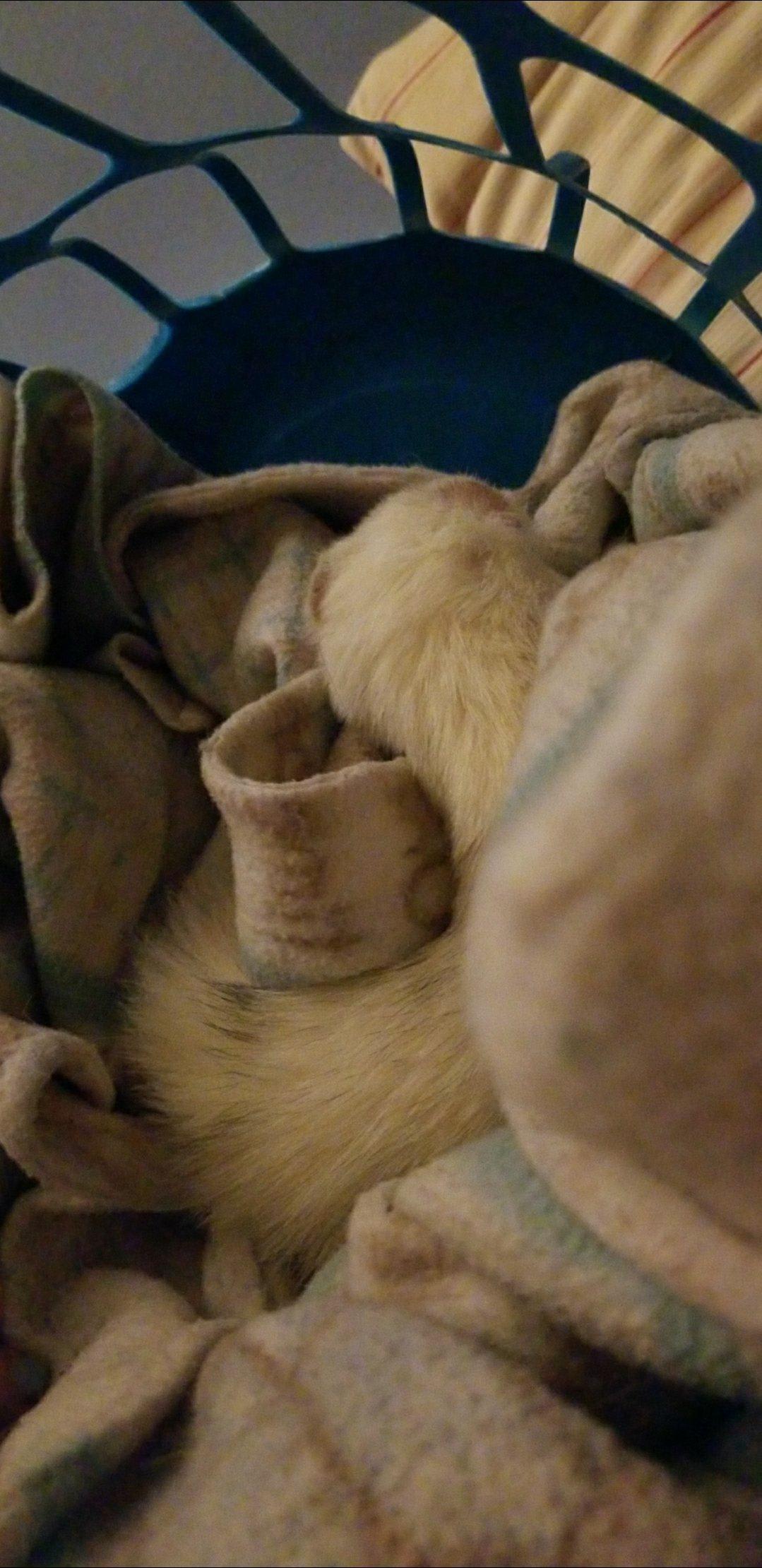 Question details sensitive content