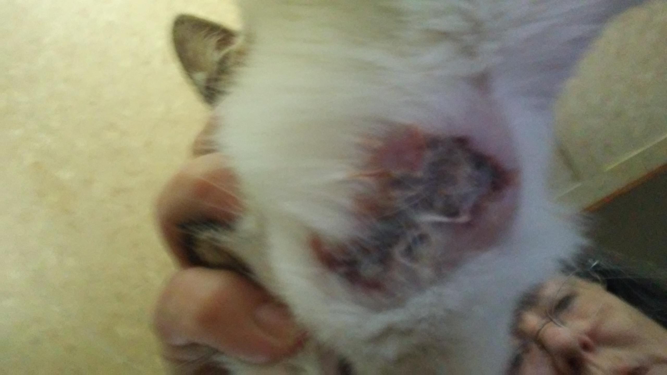 Question details sensitive content