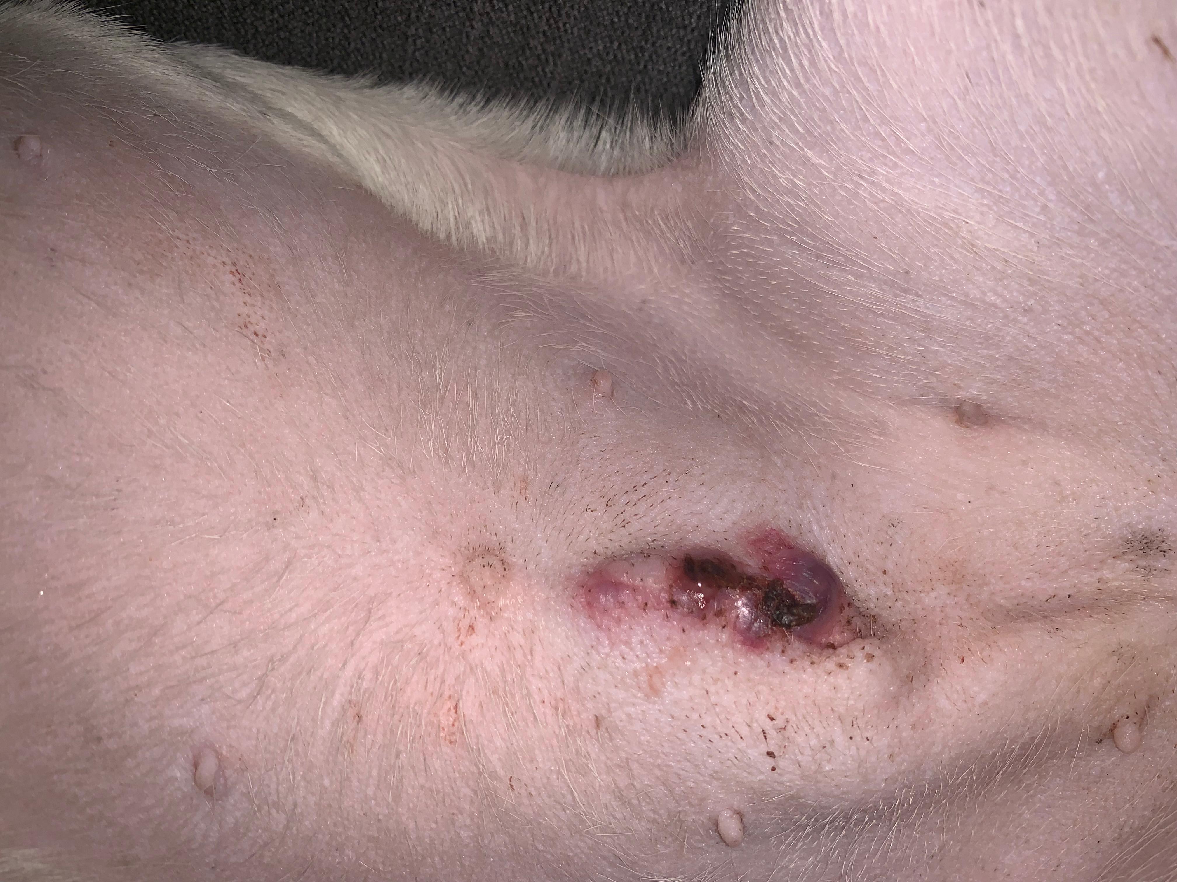 Question details sensitive content