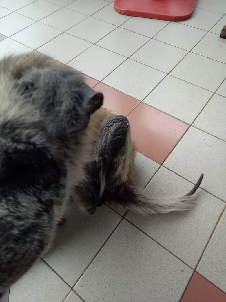 Question details sensitive content