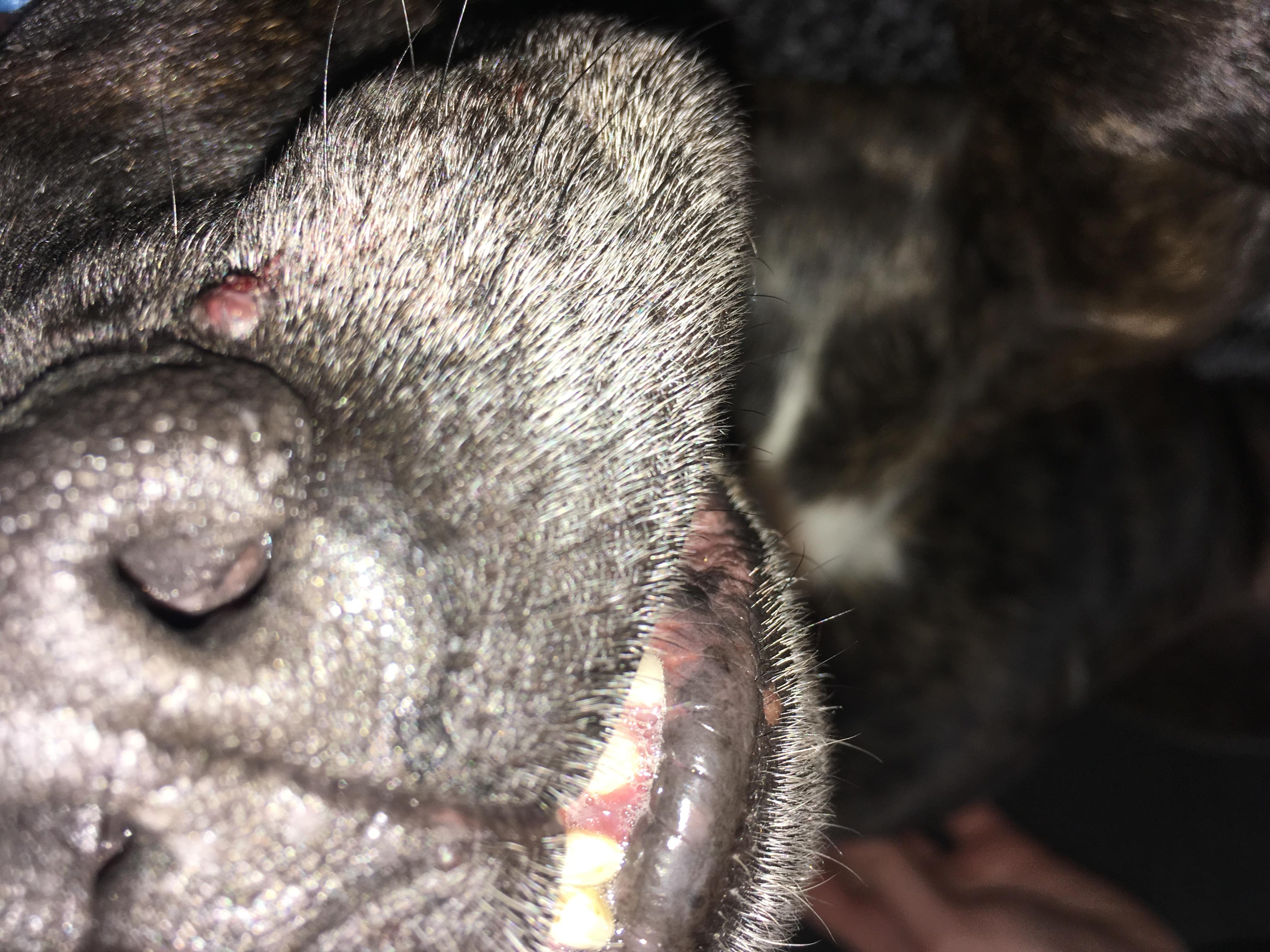 Question details sensitive content