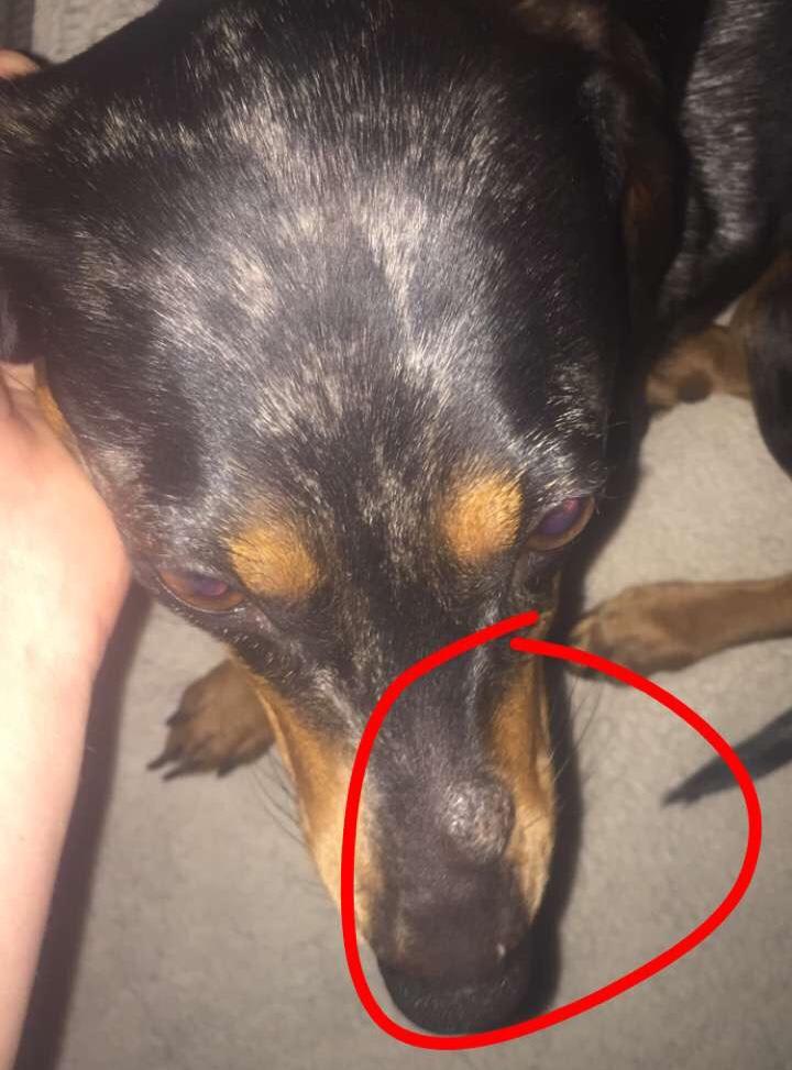 Question details sensitive content