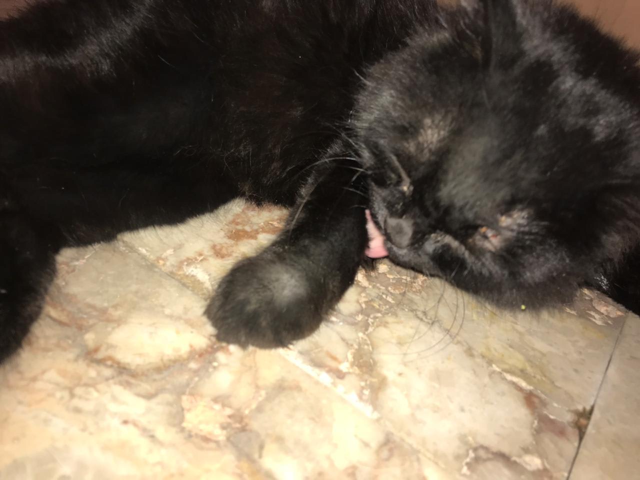 Question details sensitive content