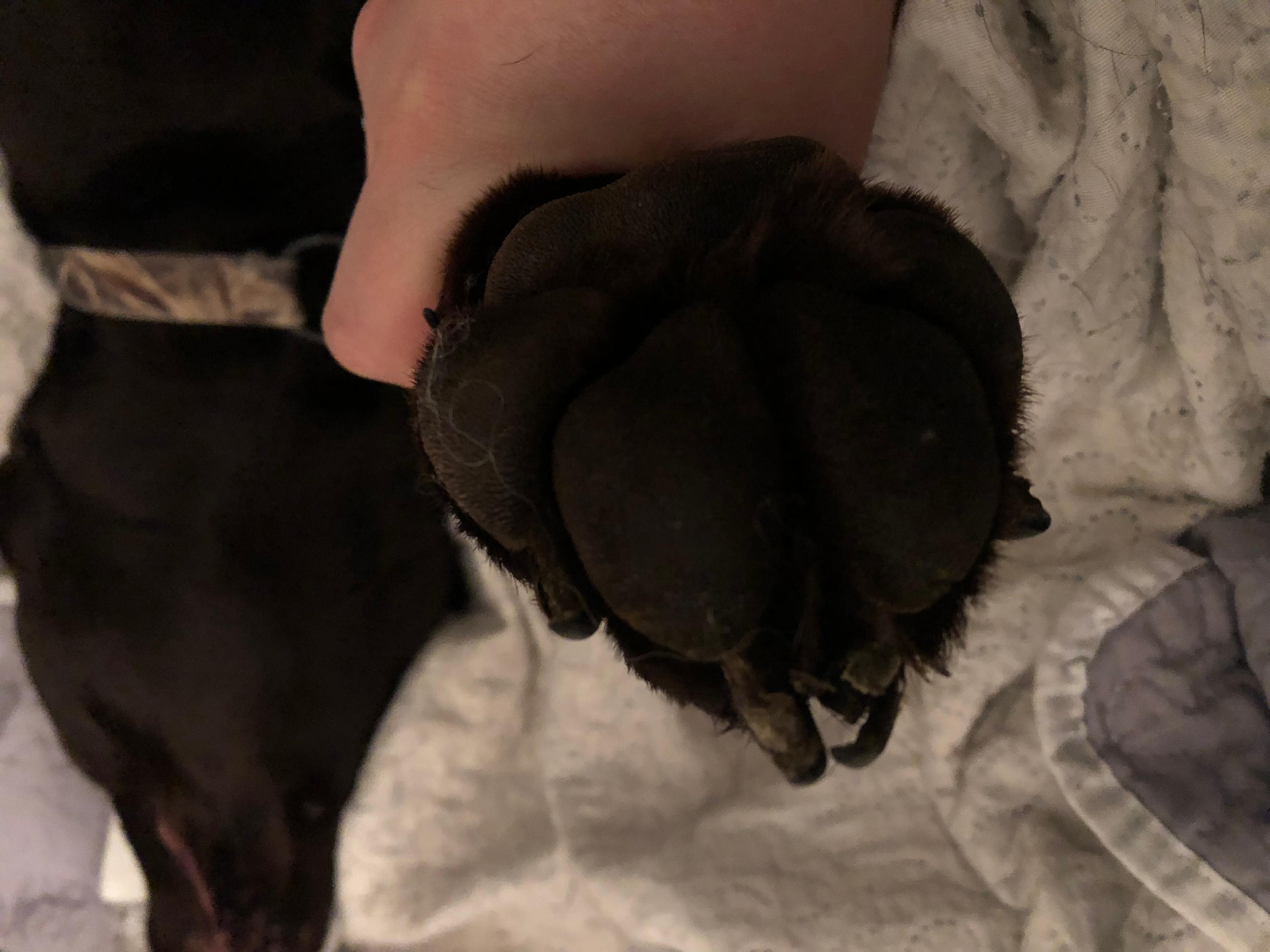 Question details sensitive content