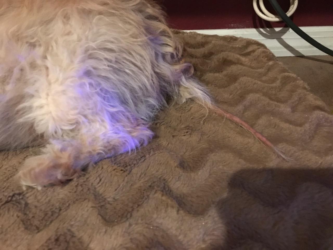 Question details sensitive content