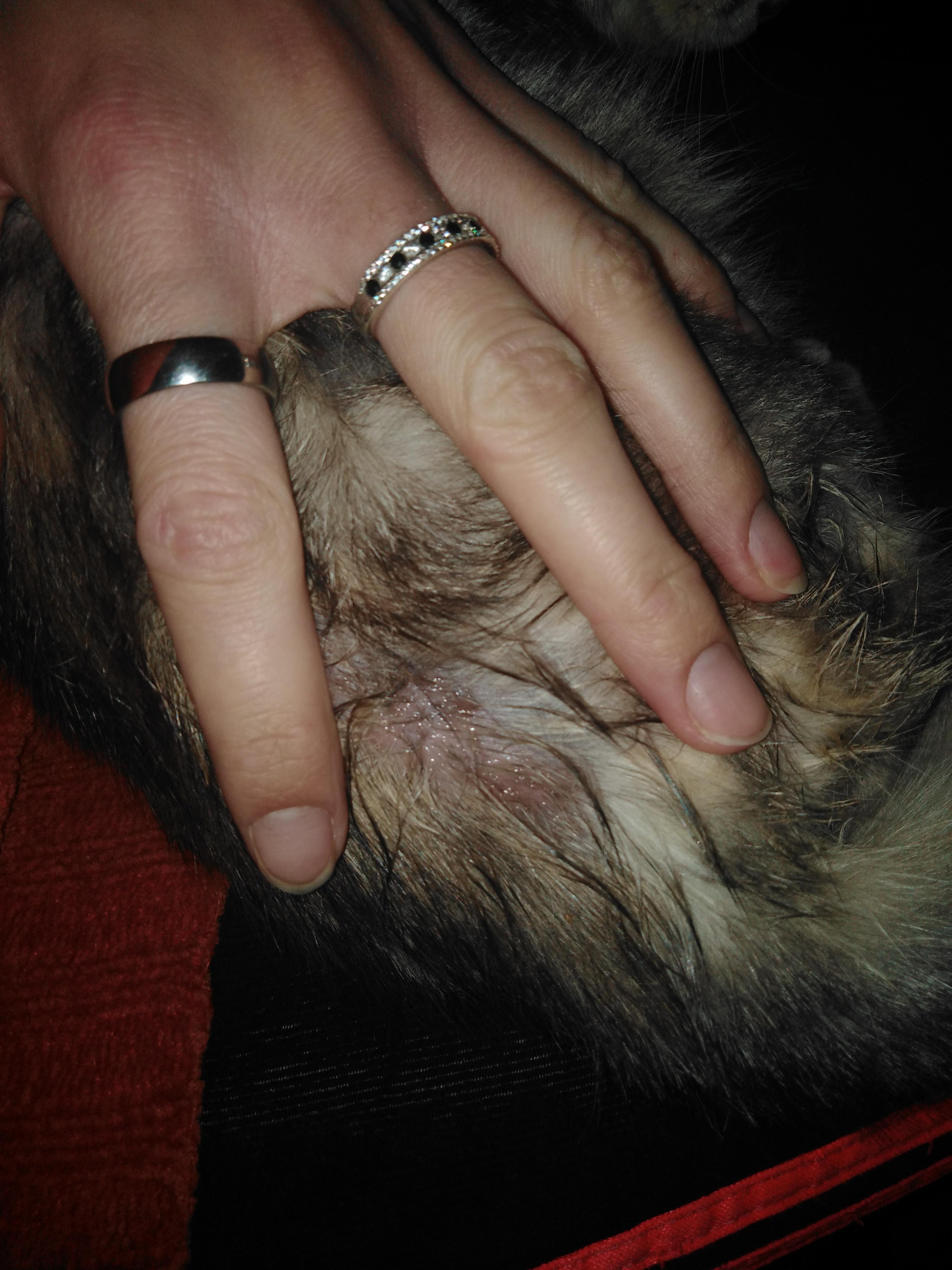 Question details sensitive content